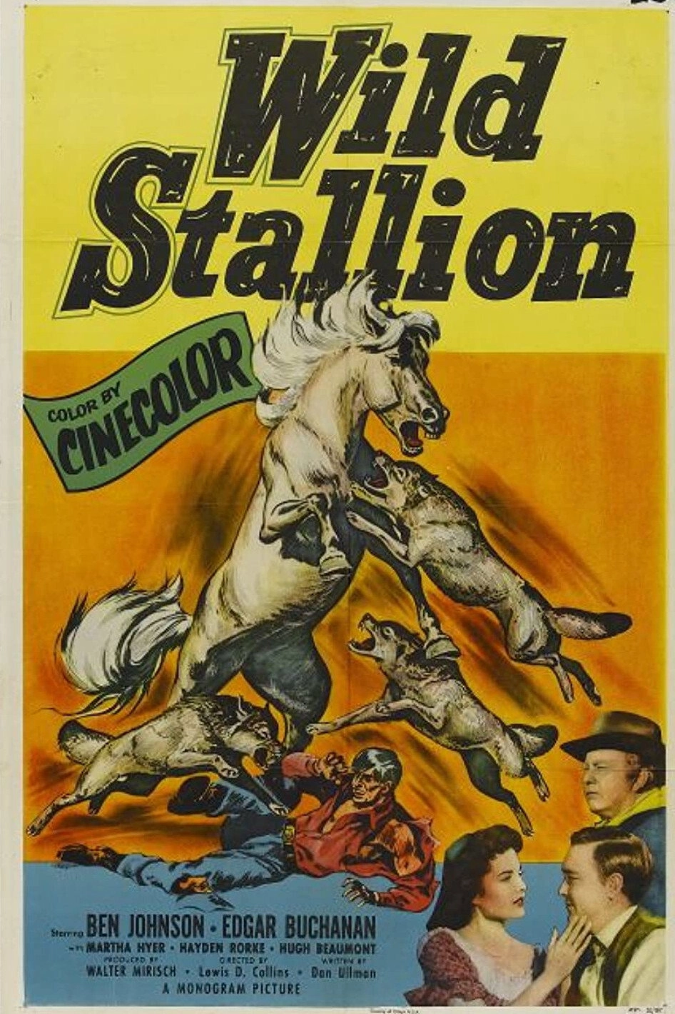 Wild Stallion