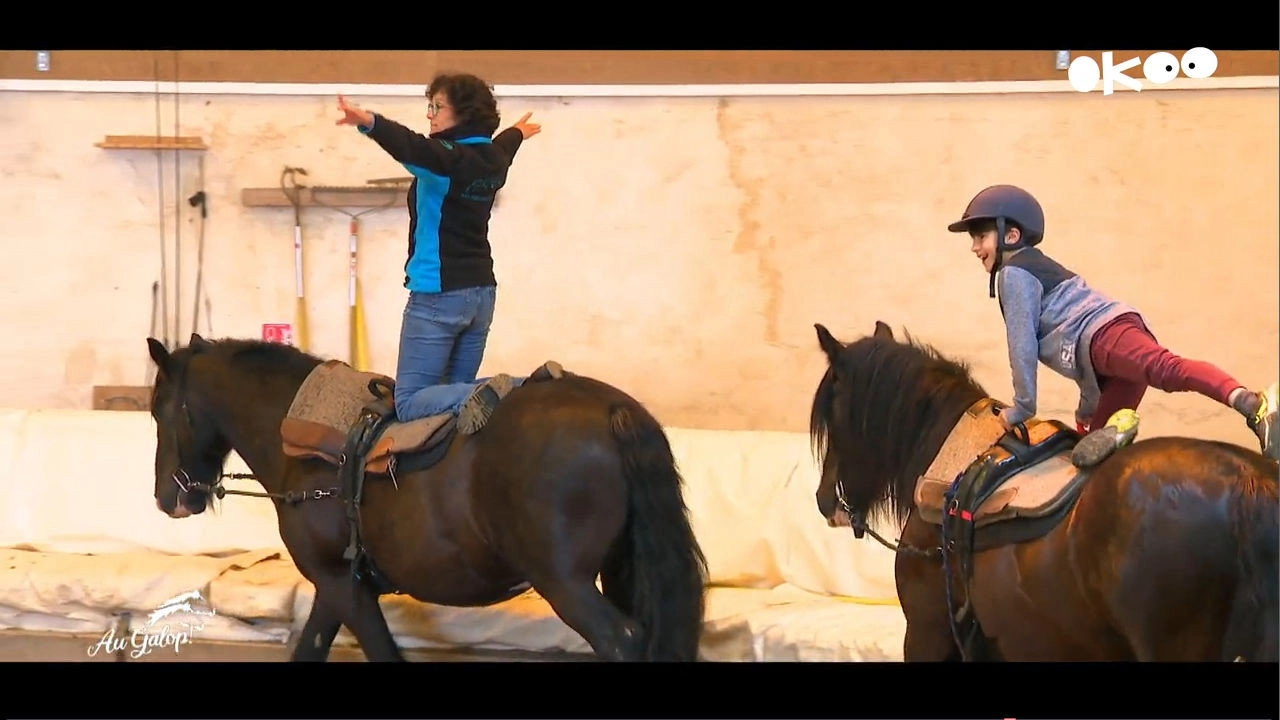 Au galop ! une saison à cheval