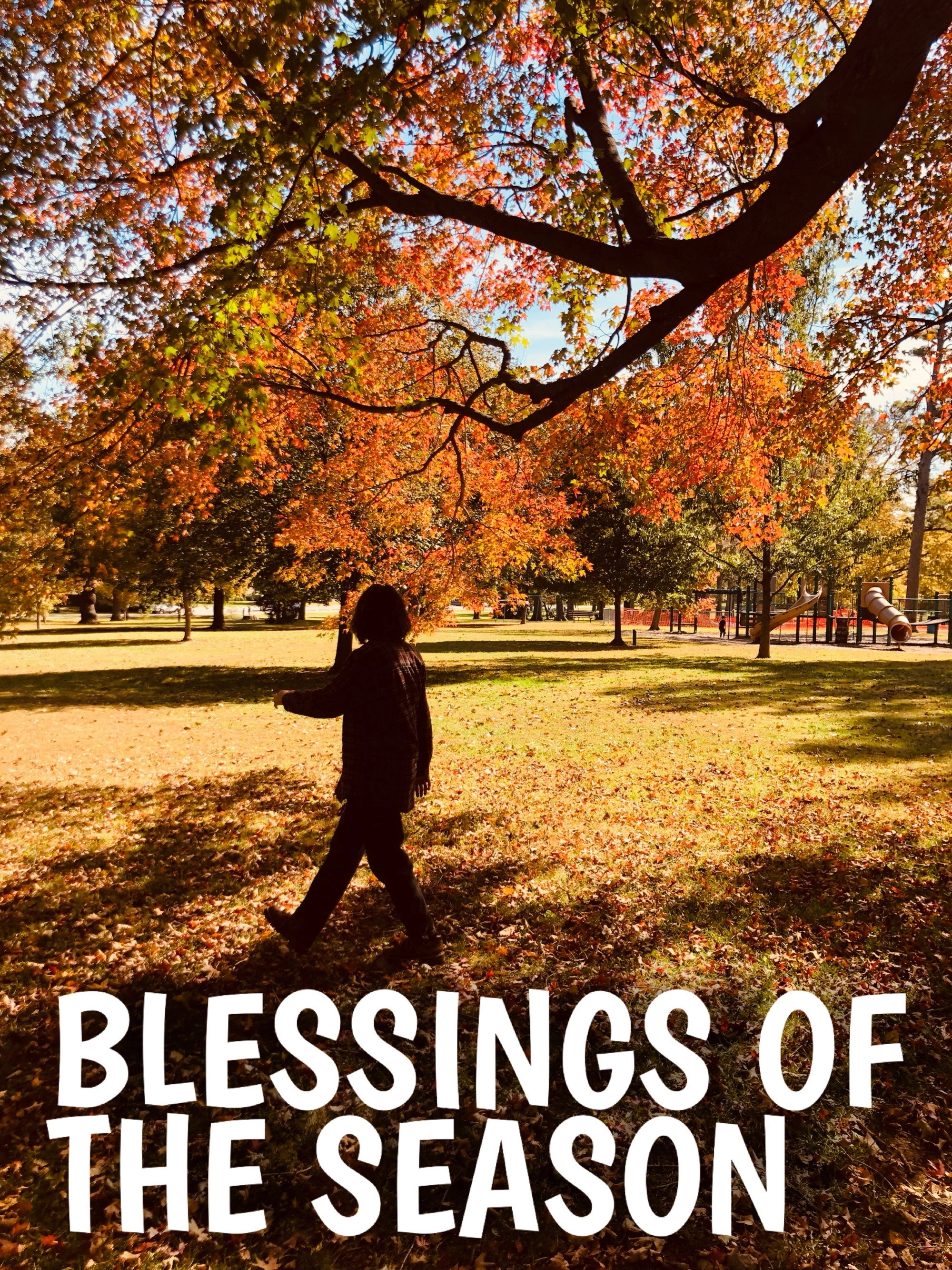 Blessings of the Season