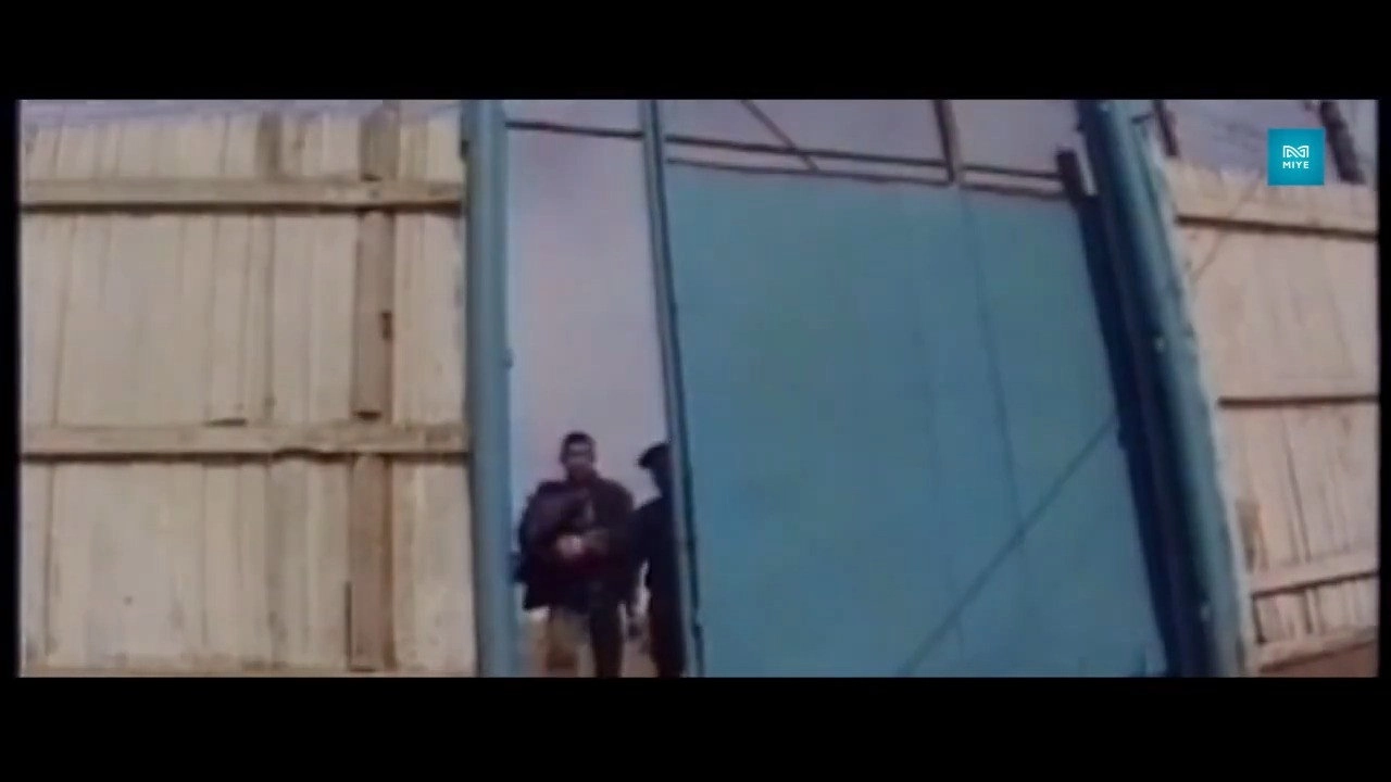 Fate 1