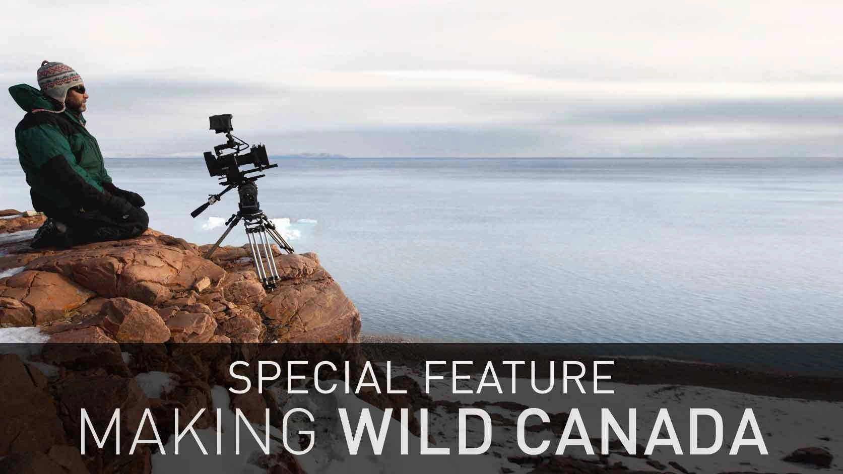 Wild Canada