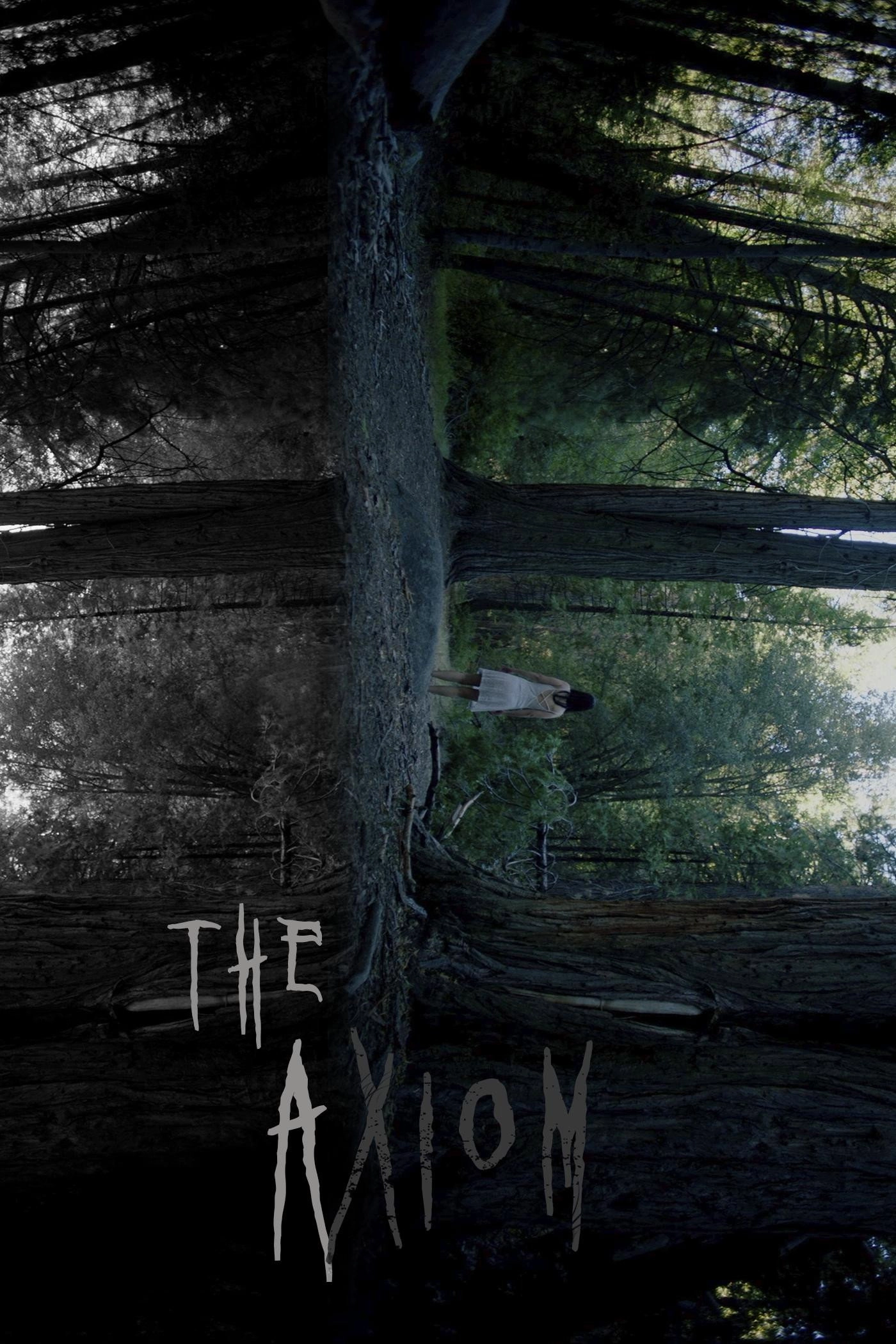 The Axiom