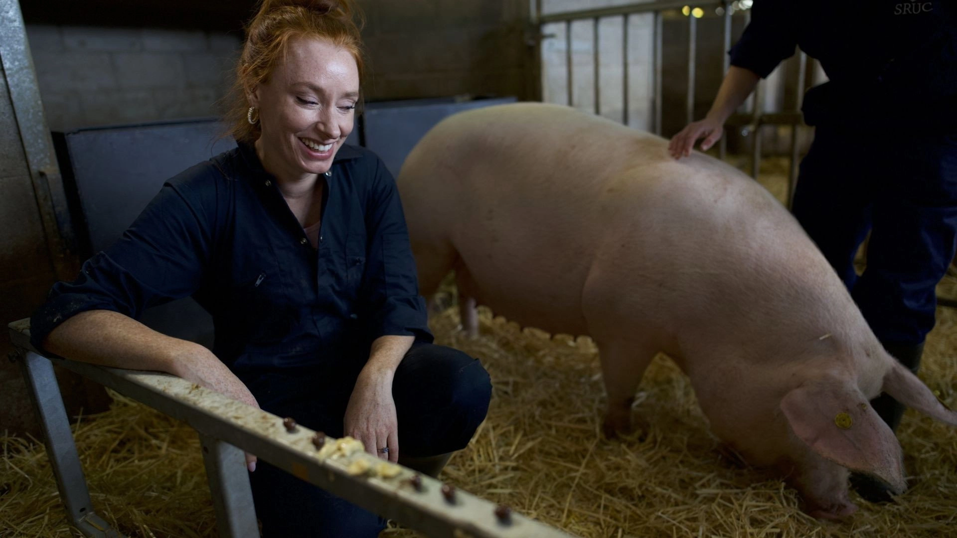 The Future with Hannah Fry