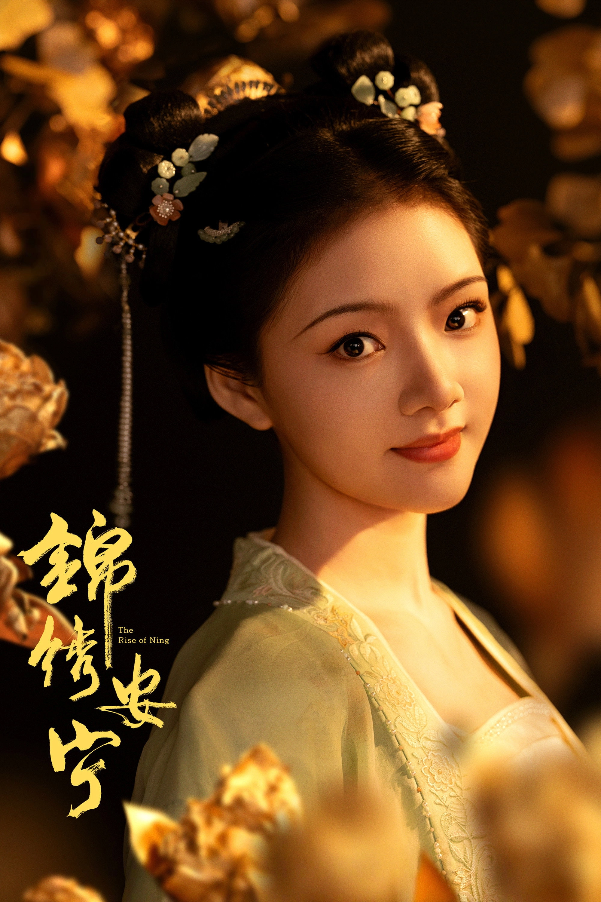 The Rise of Ning