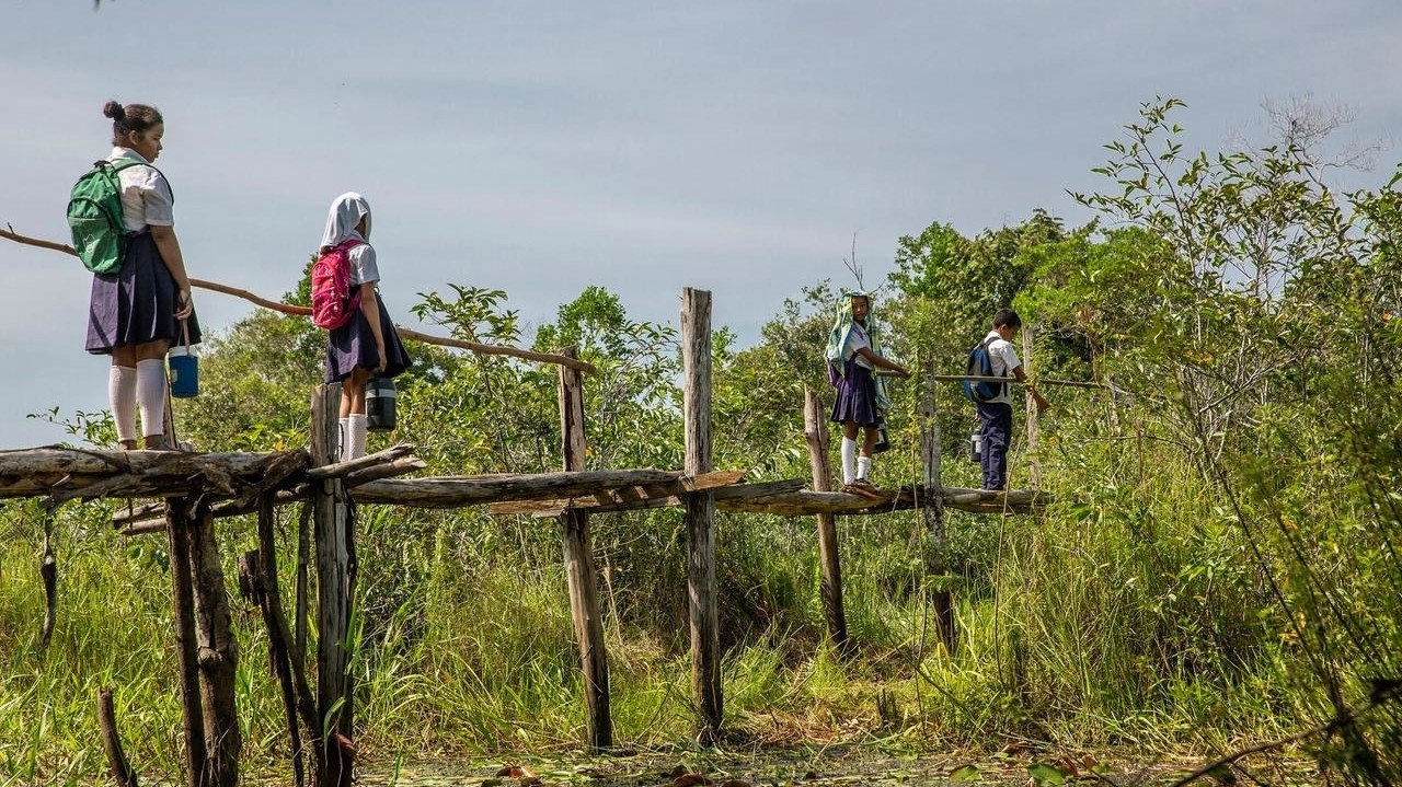 The Most Dangerous Ways to School