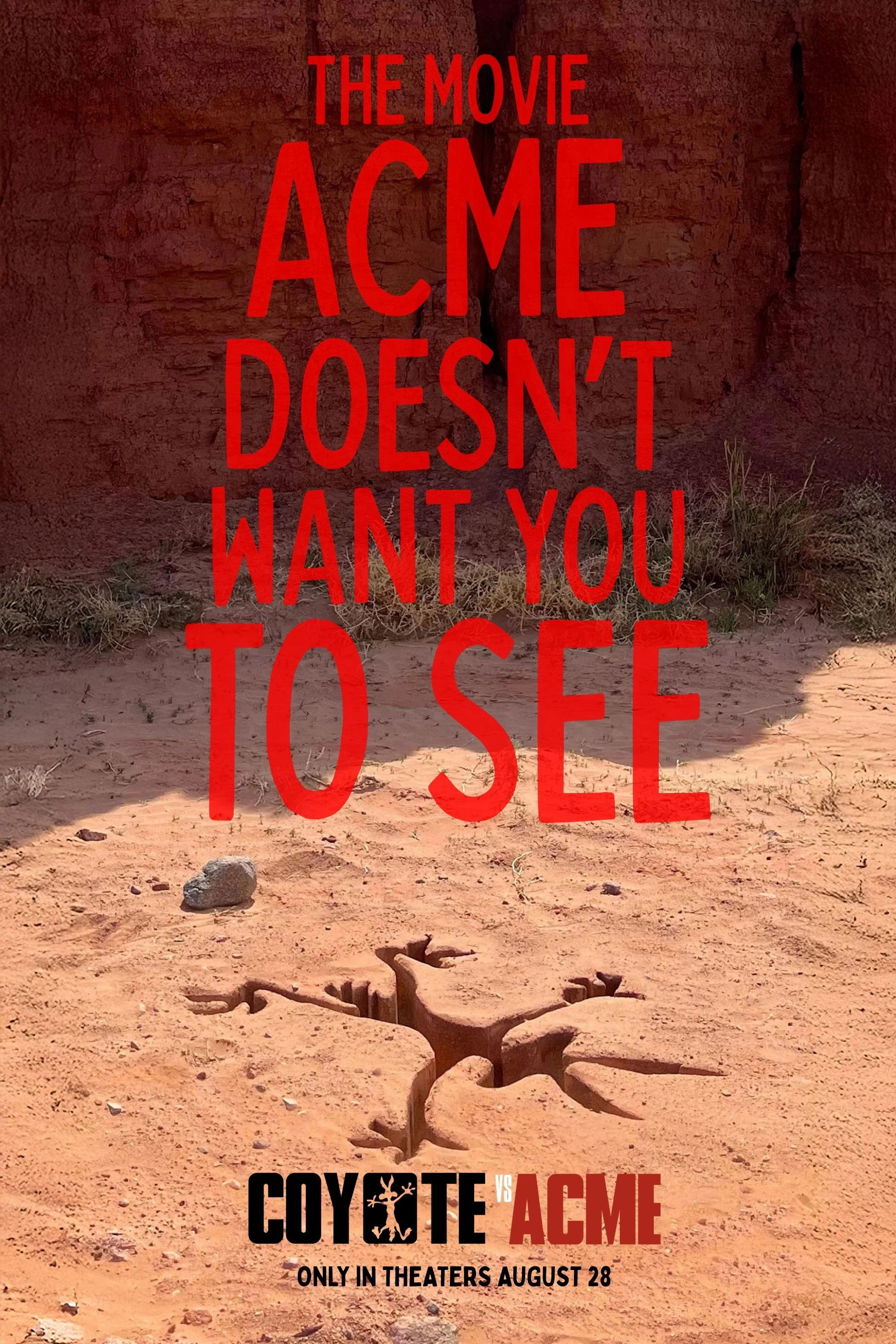 Coyote vs ACME