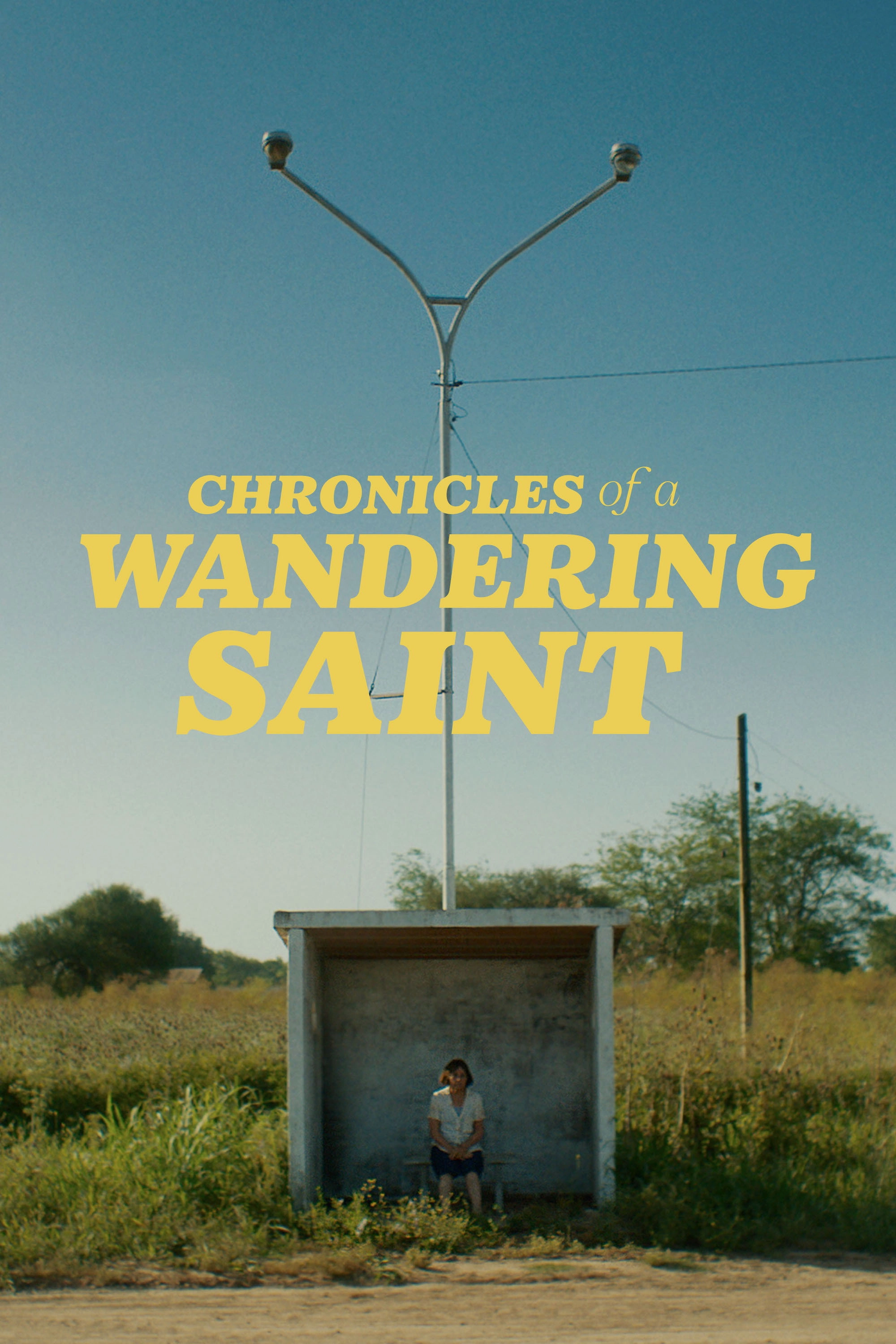 Chronicles of a Wandering Saint