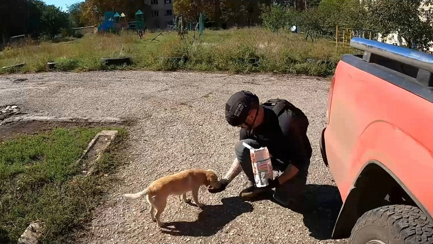 Dogs and War: What I saw in Ukraine