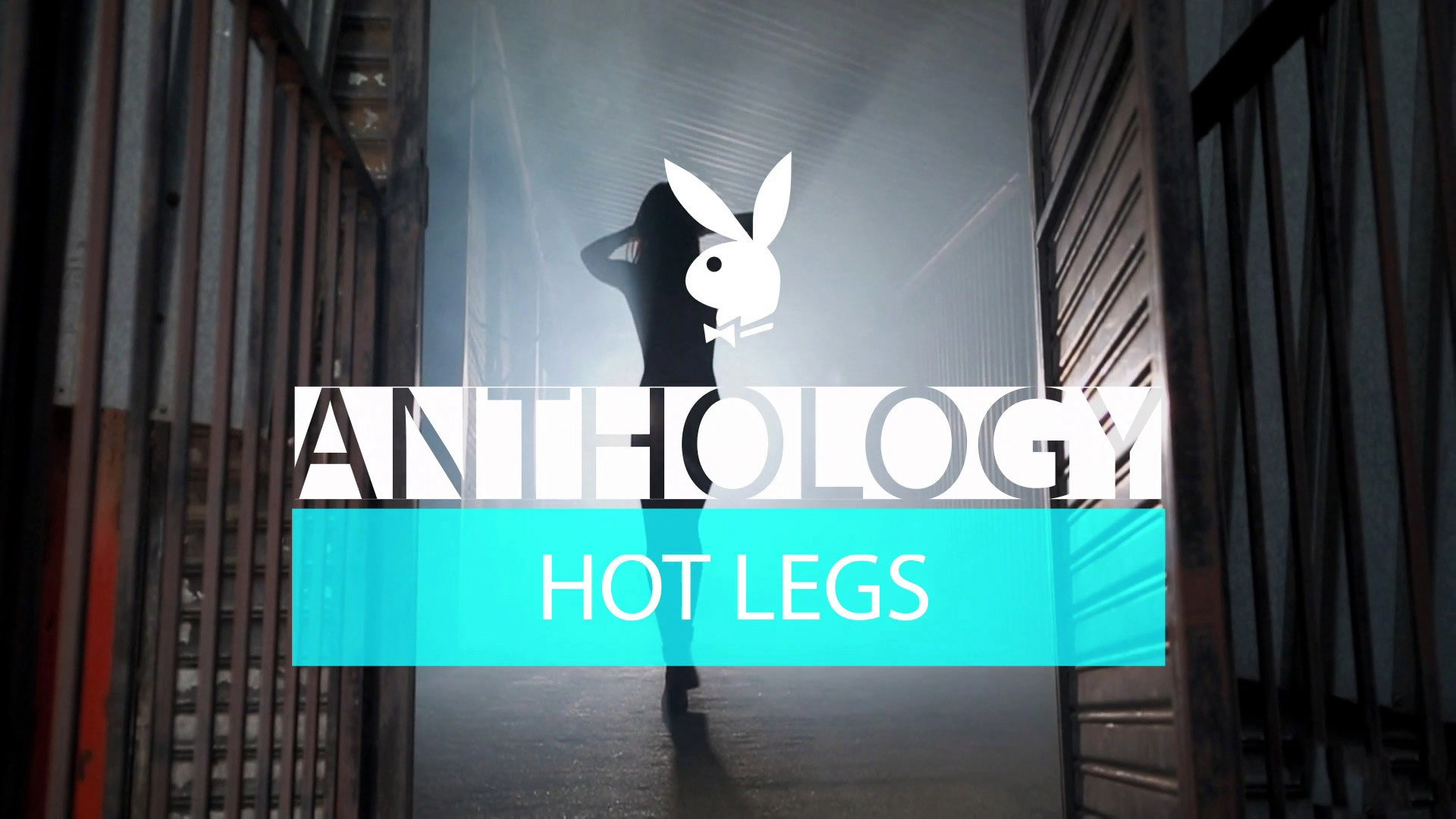 Playmate Anthology