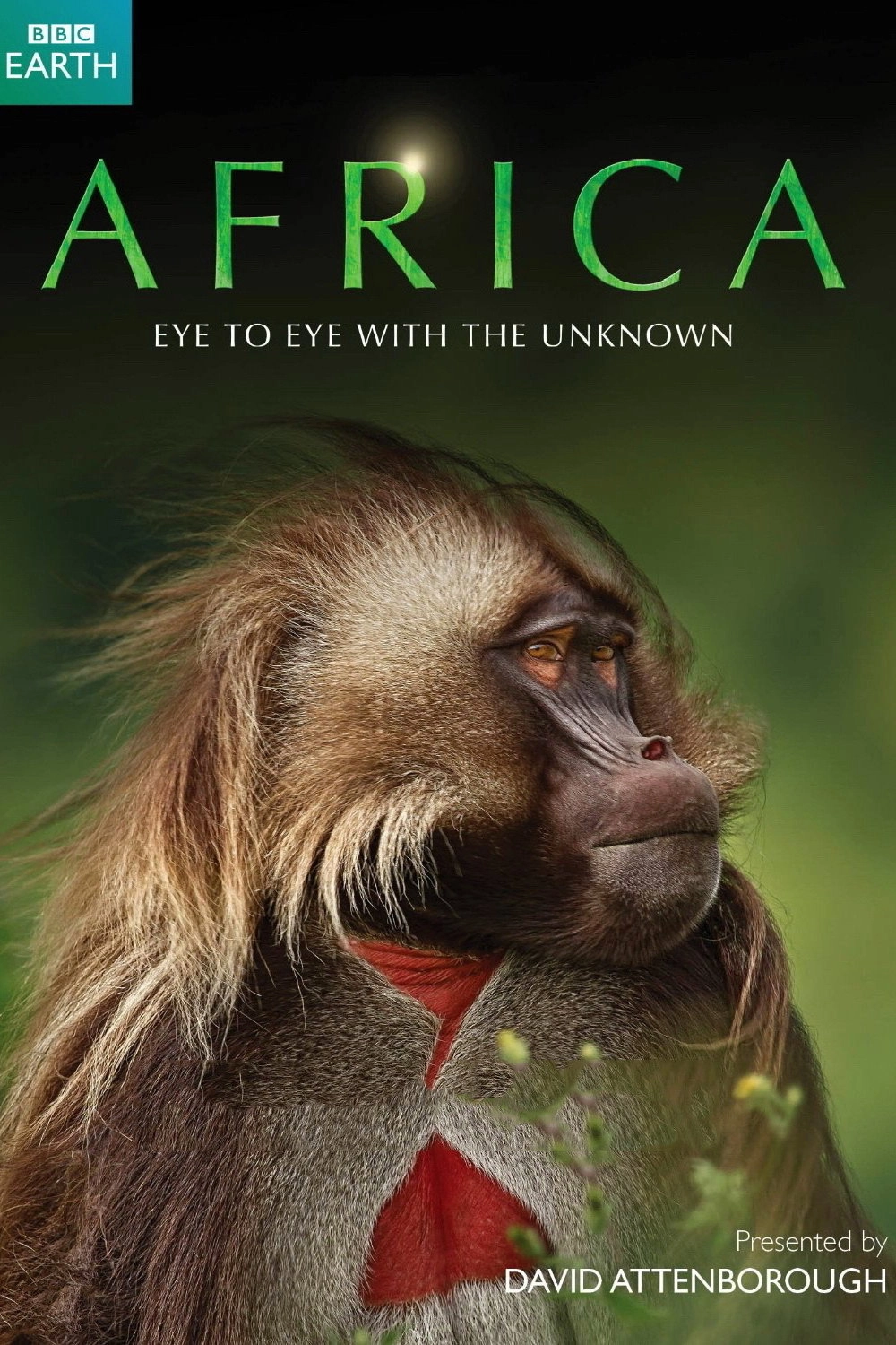 Africa
