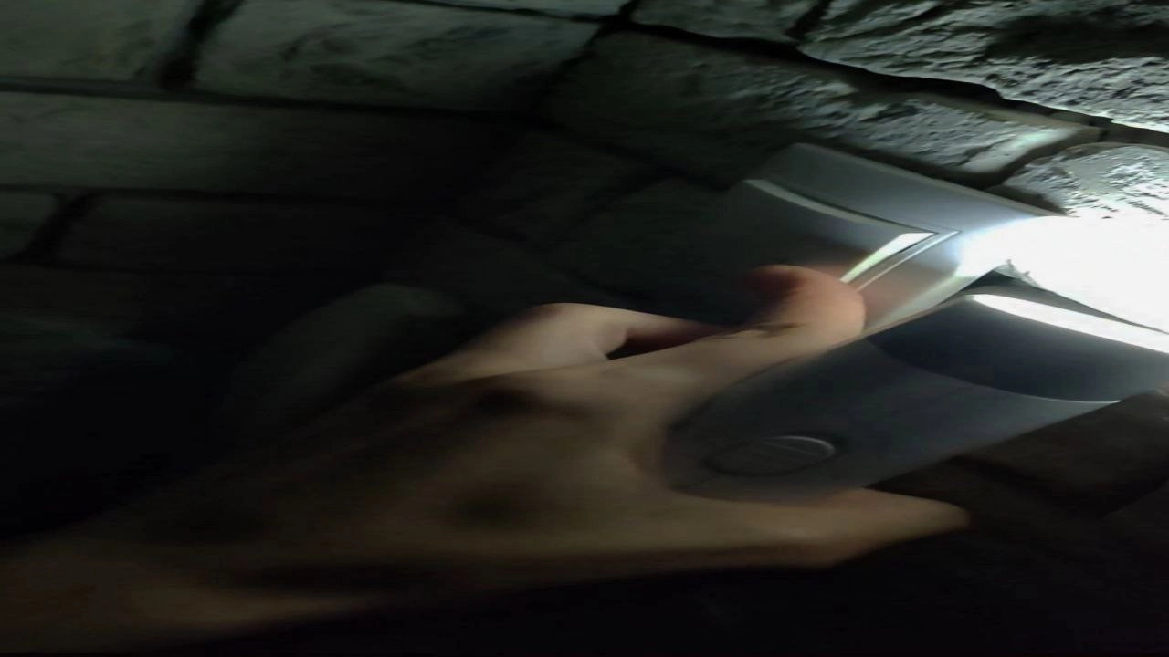 Svinorcist