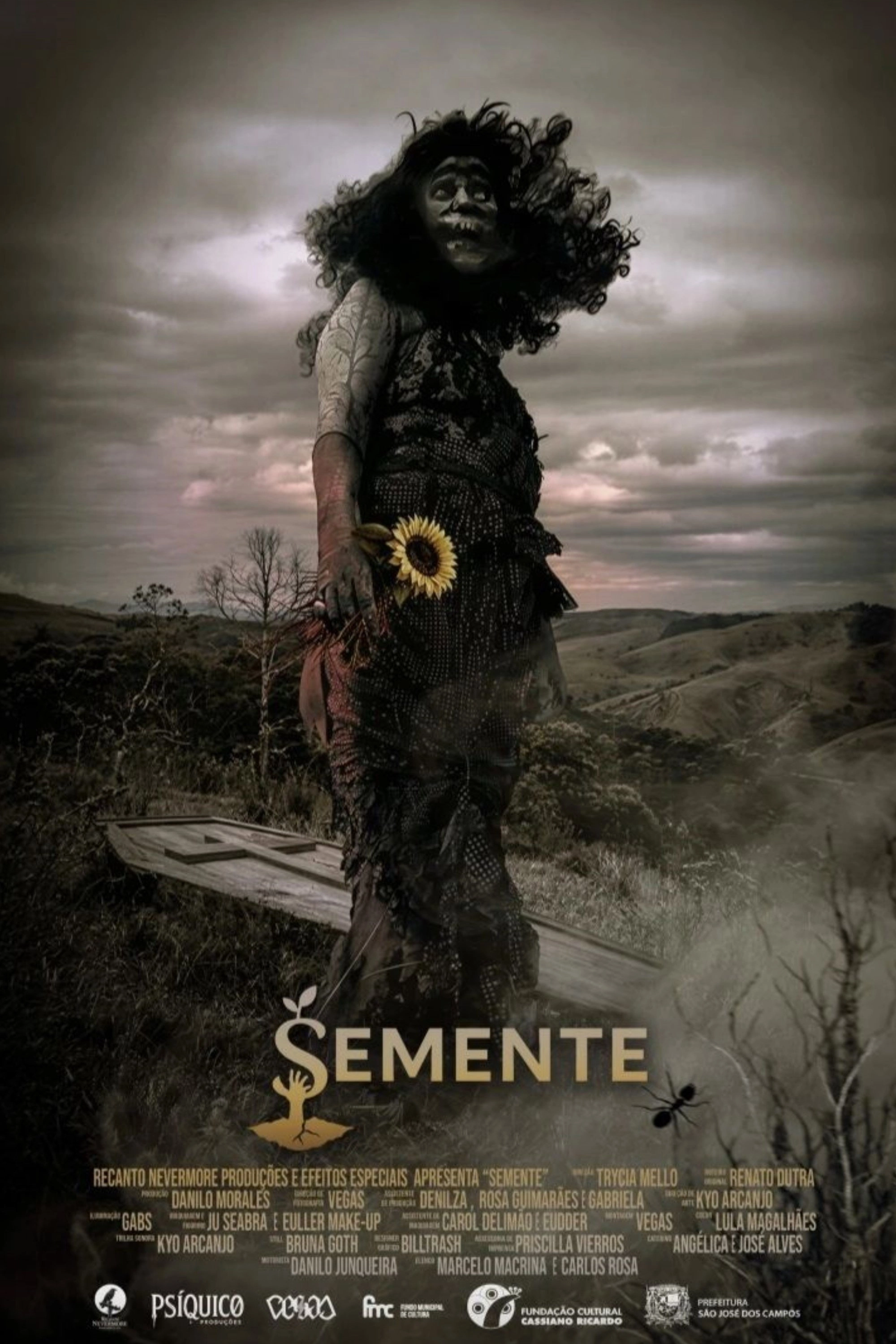 Semente