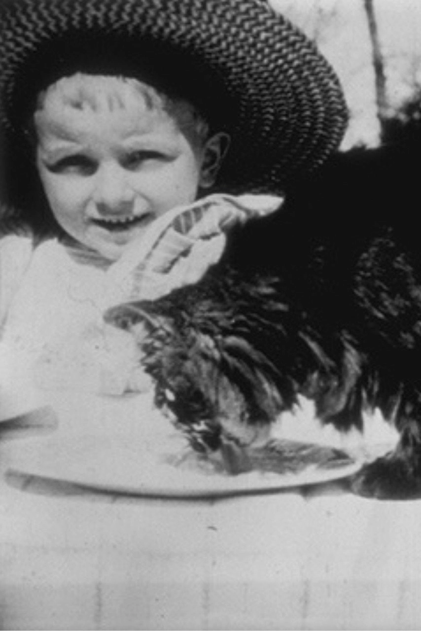 Déjeuner du Chat