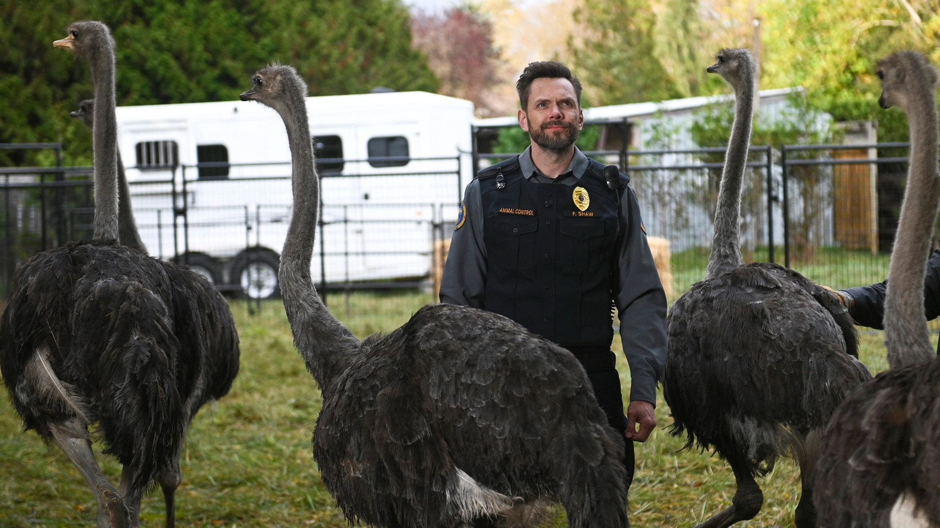 Animal Control