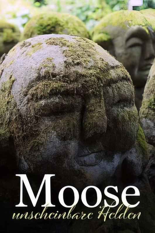 The Magical World of Moss