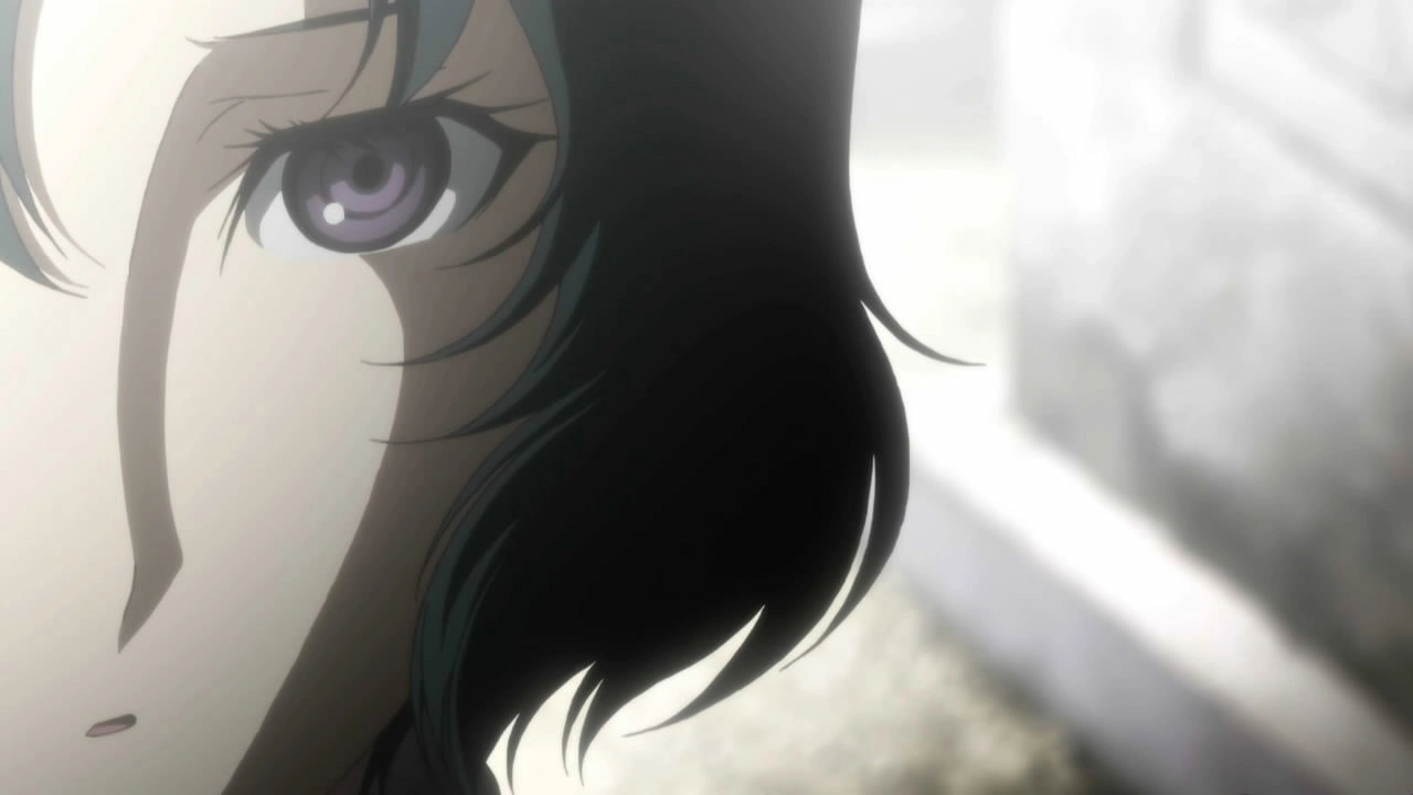 Steins;Gate