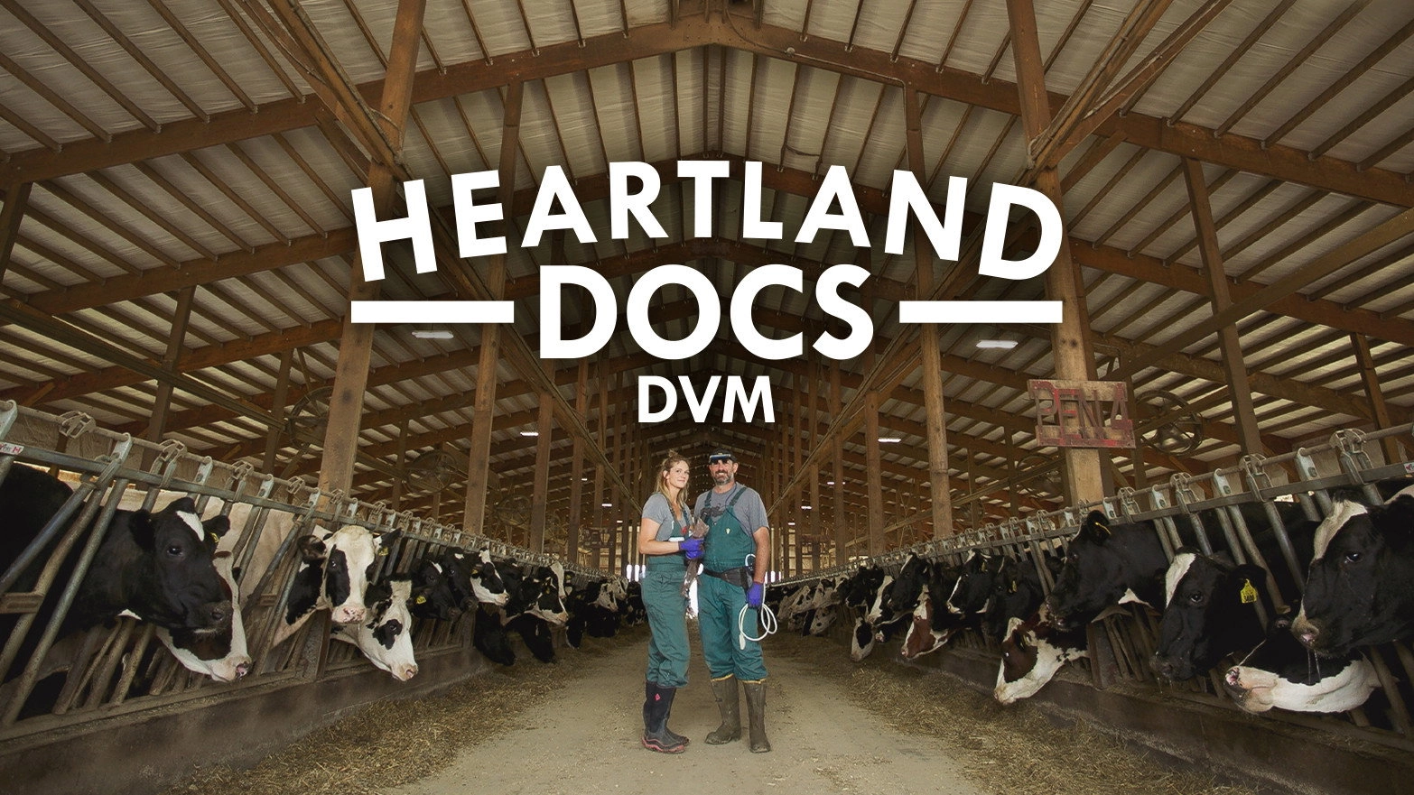 Heartland Docs, DVM
