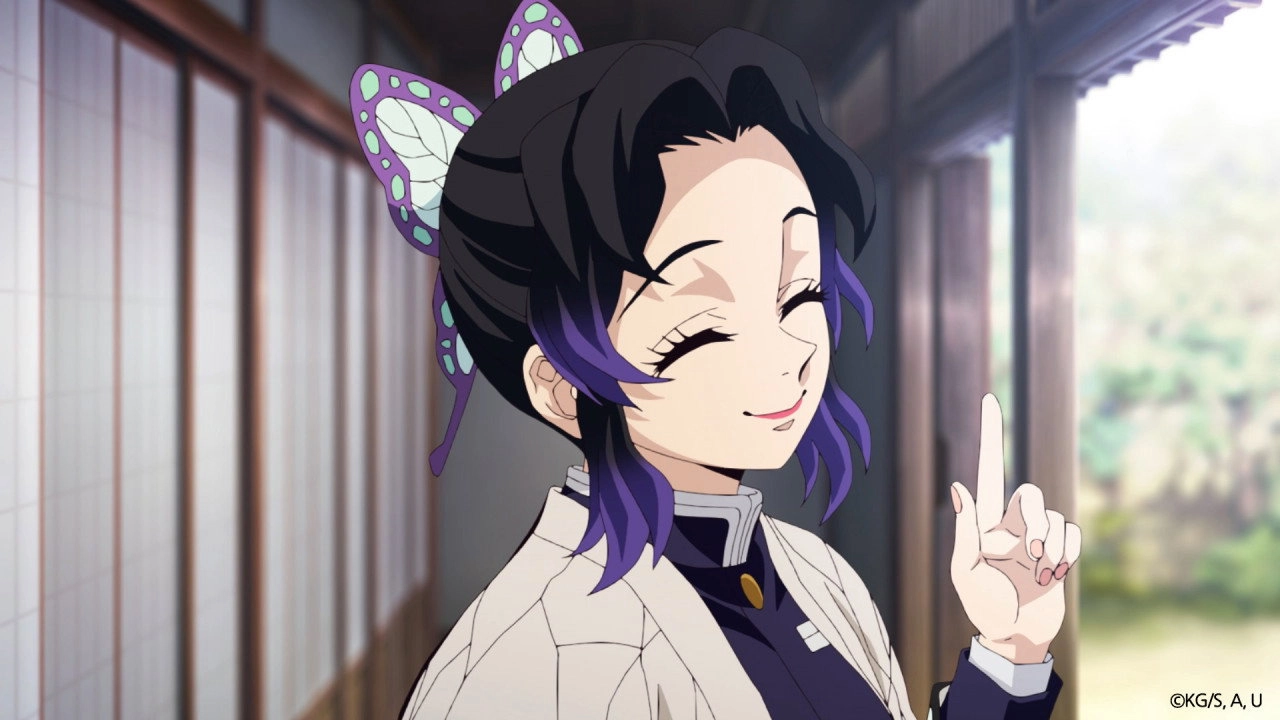 Demon Slayer: Kimetsu no Yaiba Special Edition Hashira Training Arc Part 1