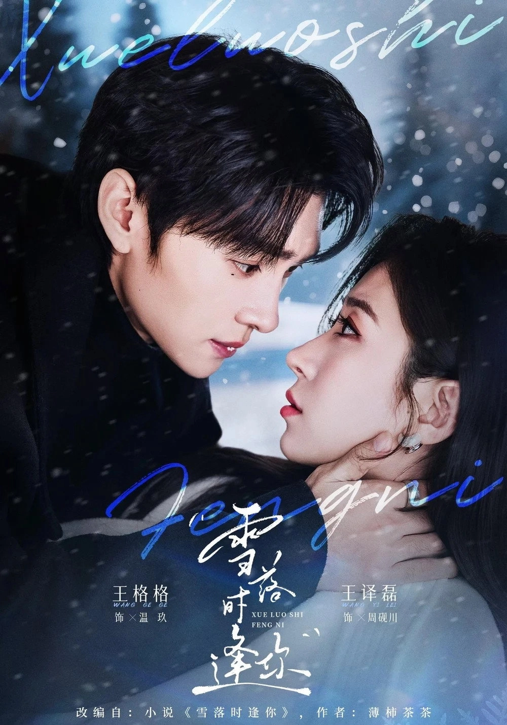 雪落时逢你