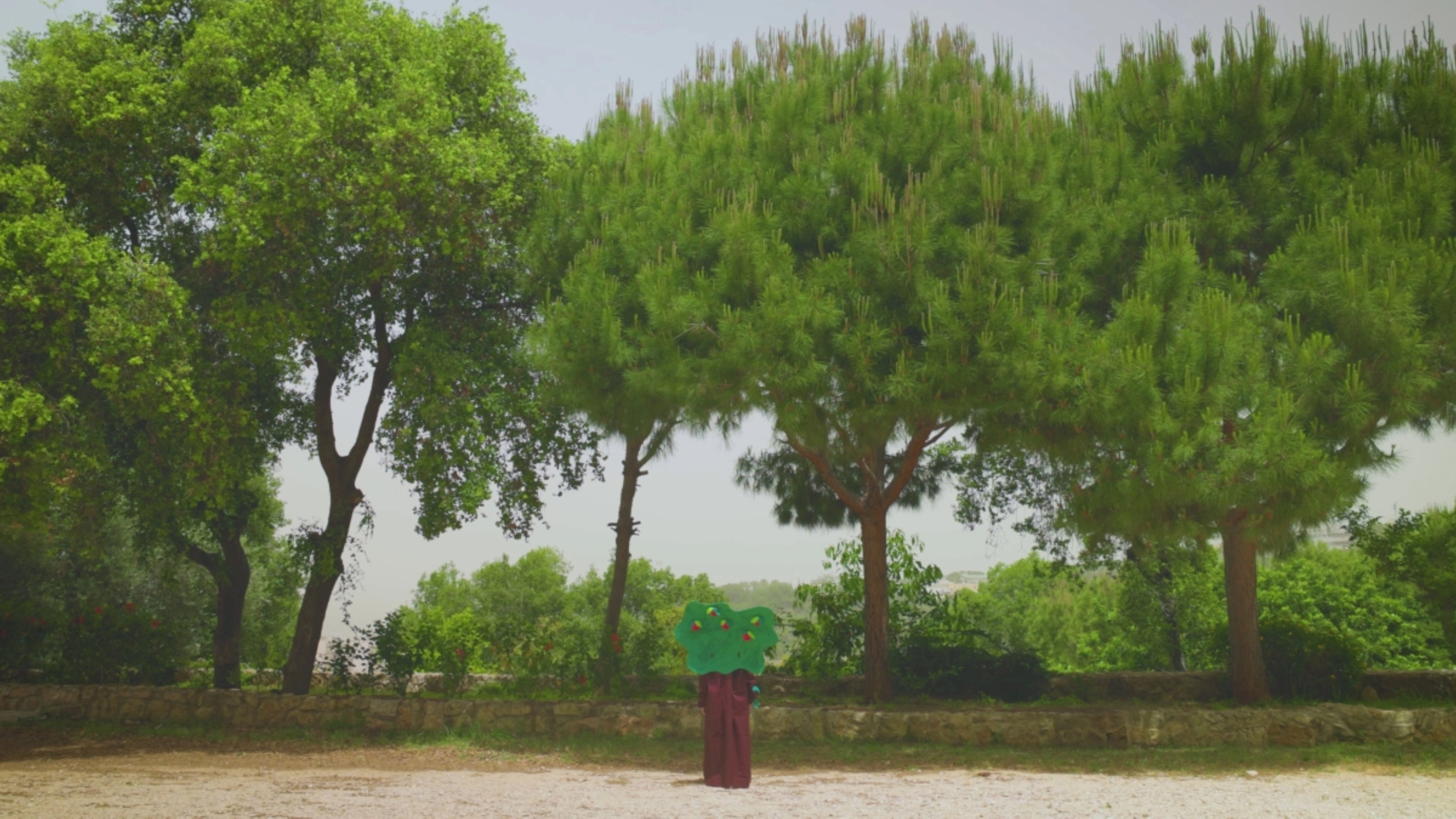 Unless You're a Tree