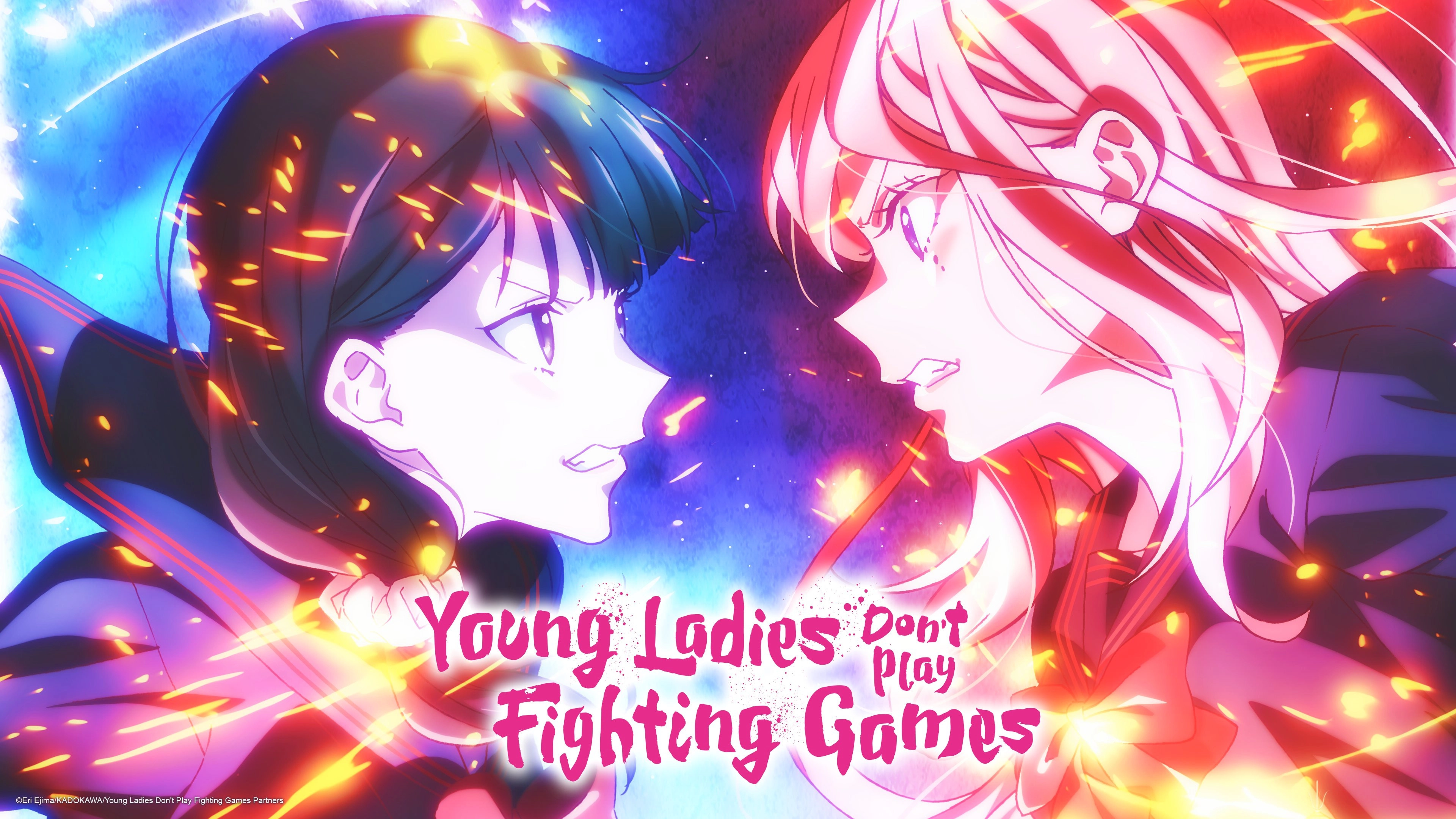 Young Ladies Don't Play Fighting Games