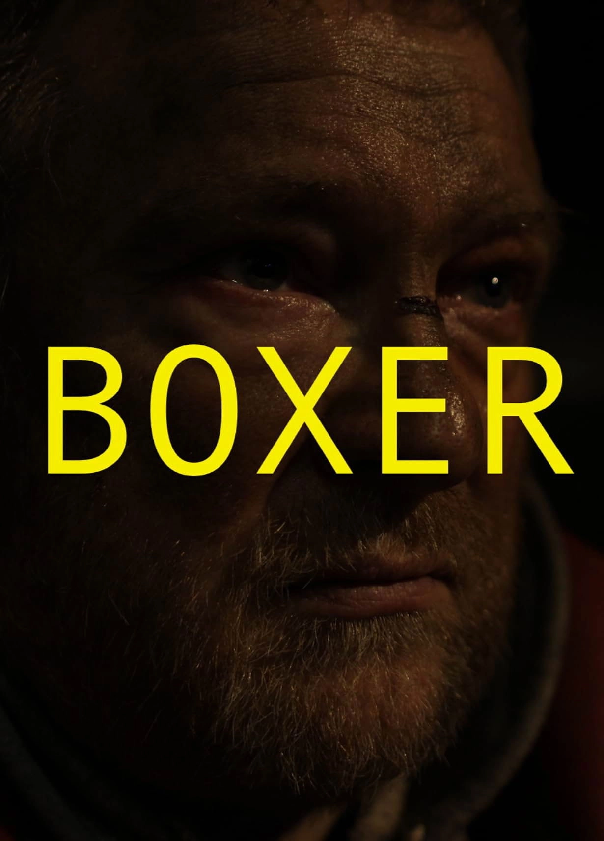 Boxer