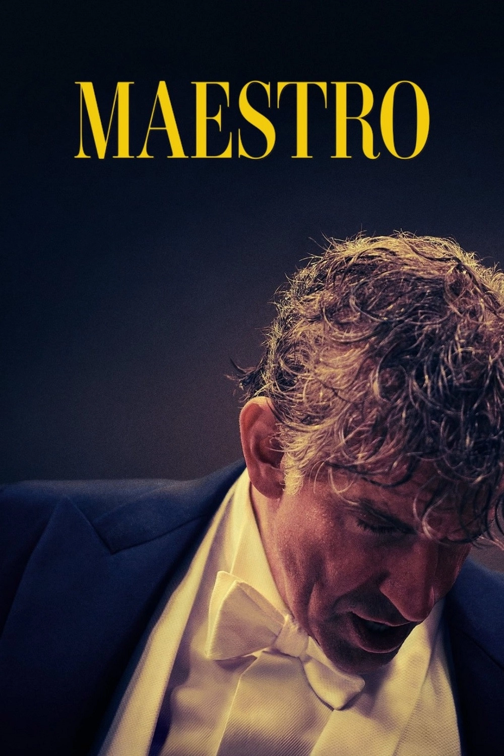 Maestro