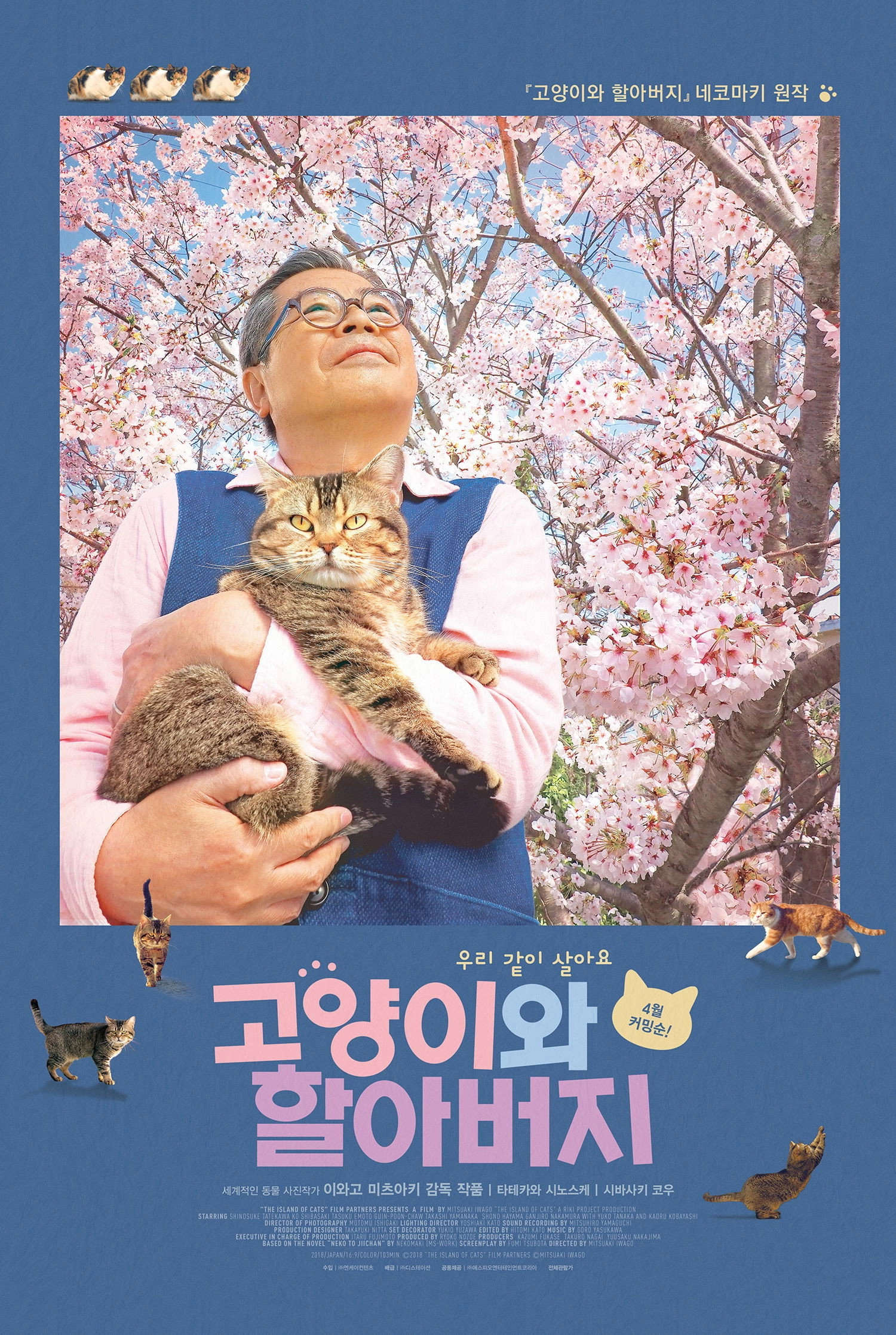 The Island of Cats