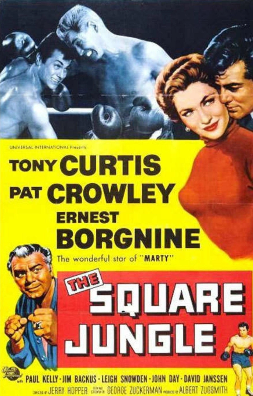 The Square Jungle