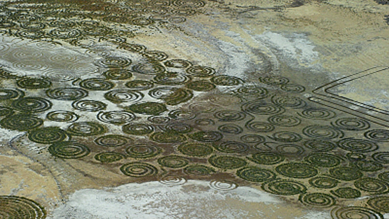Aerial Africa