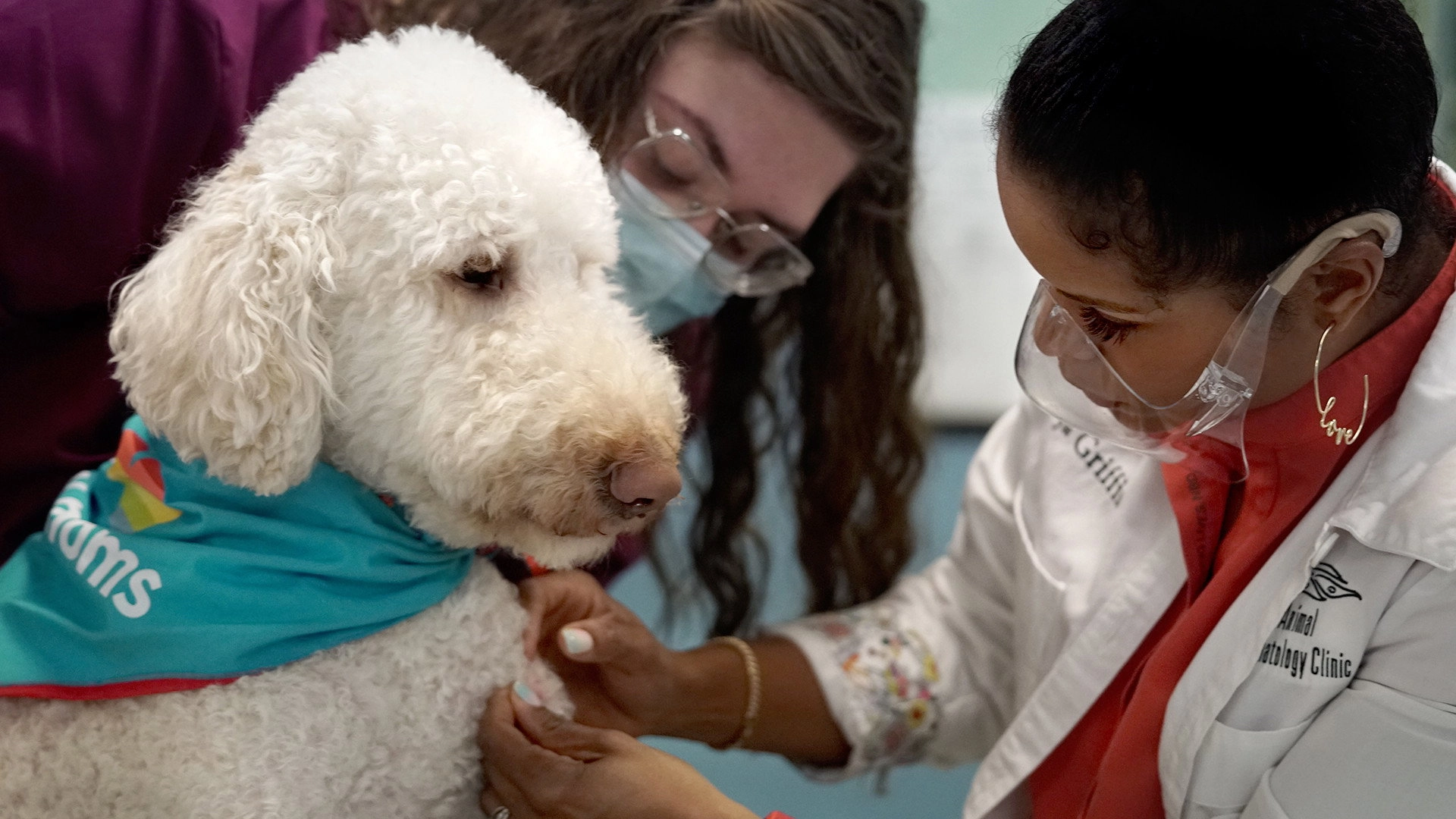 Pop Goes the Vet with Dr. Joya