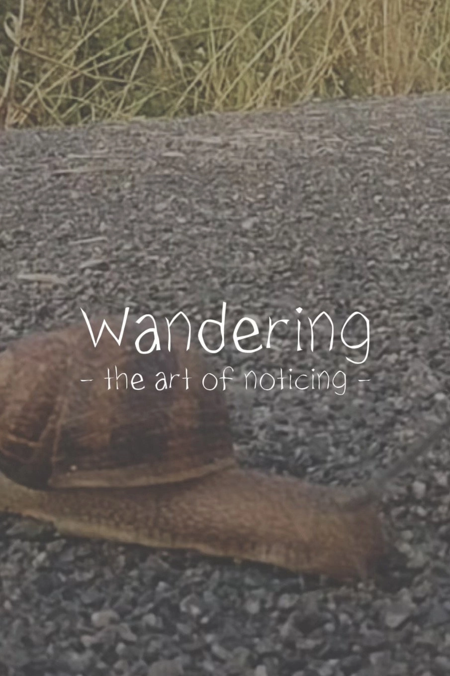 Wandering: The Art of Noticing