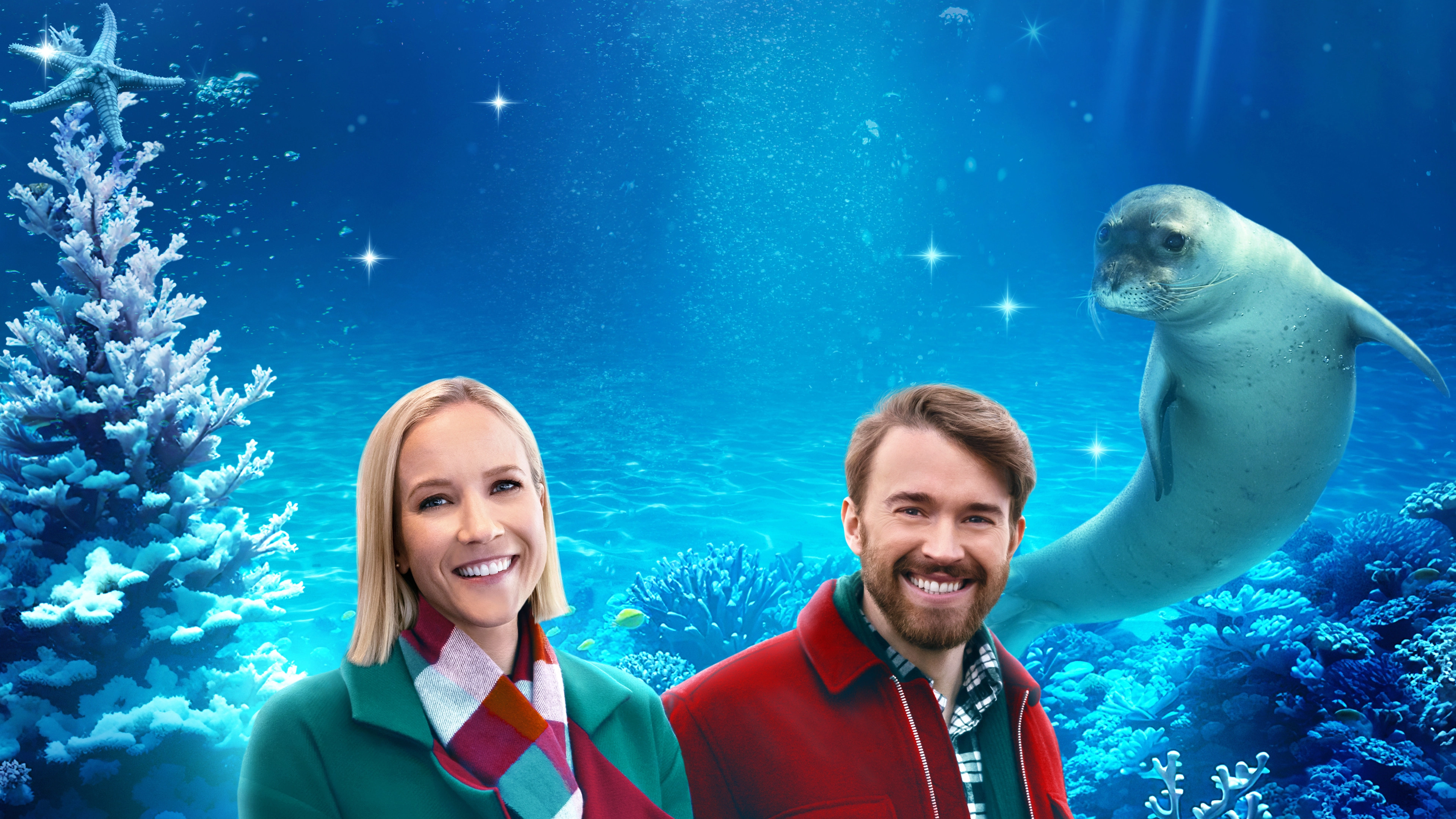 Mystic Christmas