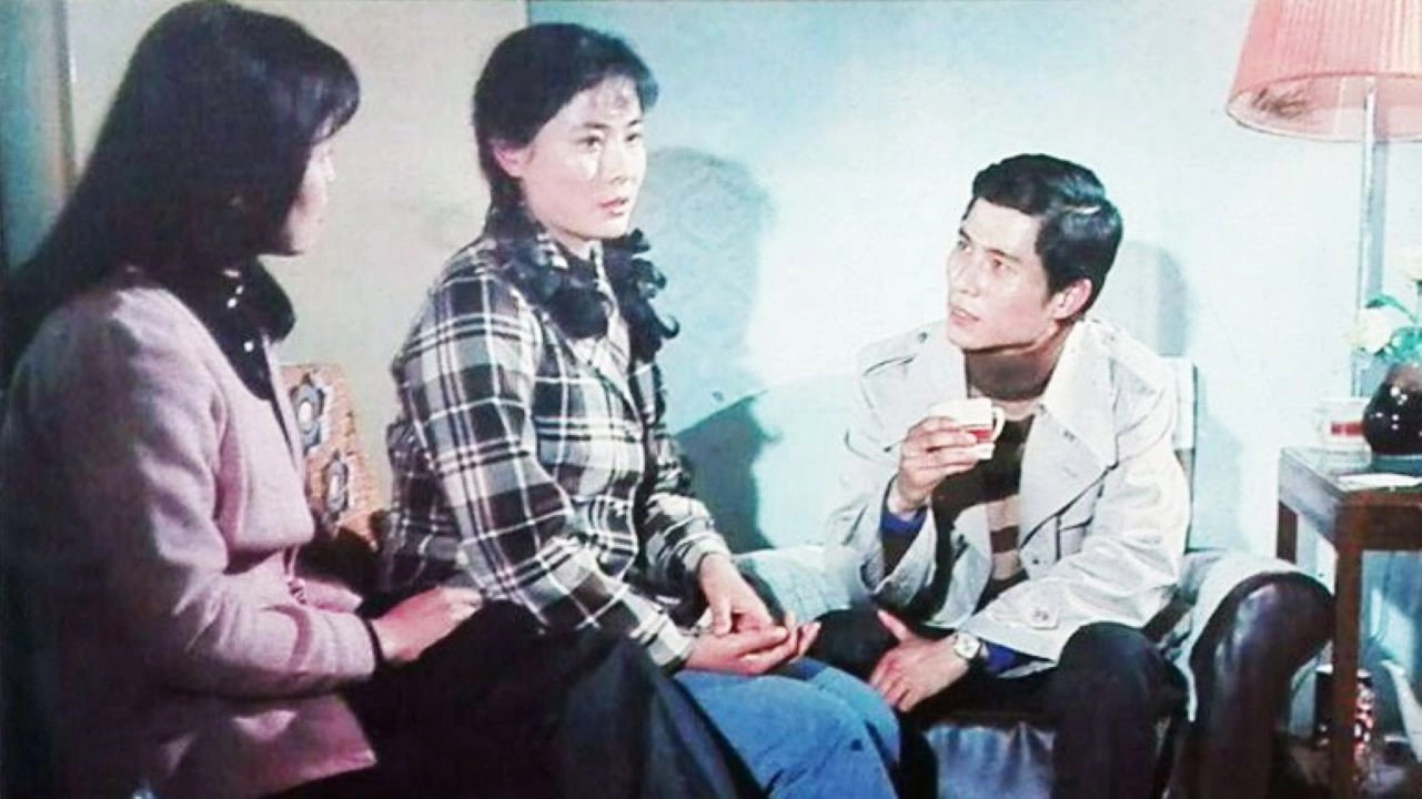 姑娘， 望着我