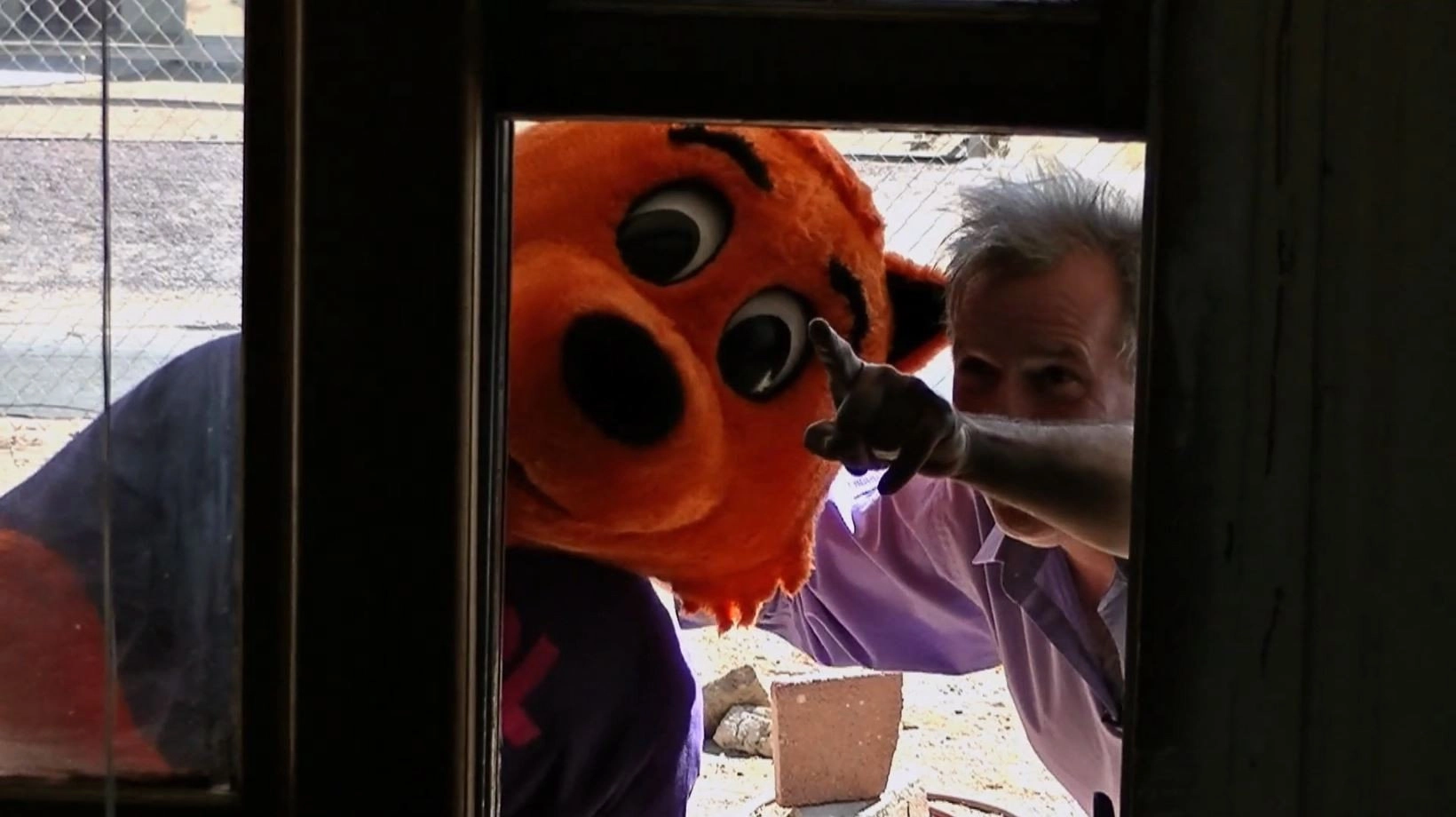 Cool Cat vs Dirty Dog 'The Virus Wars'