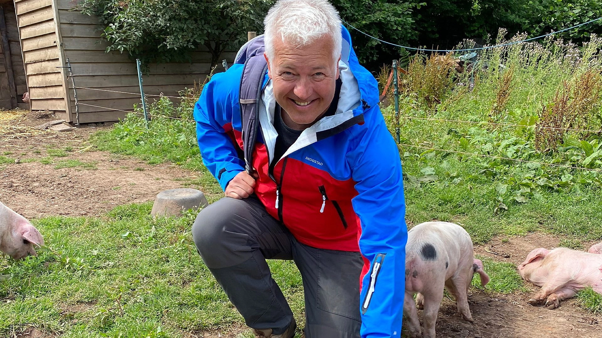 Weatherman Walking