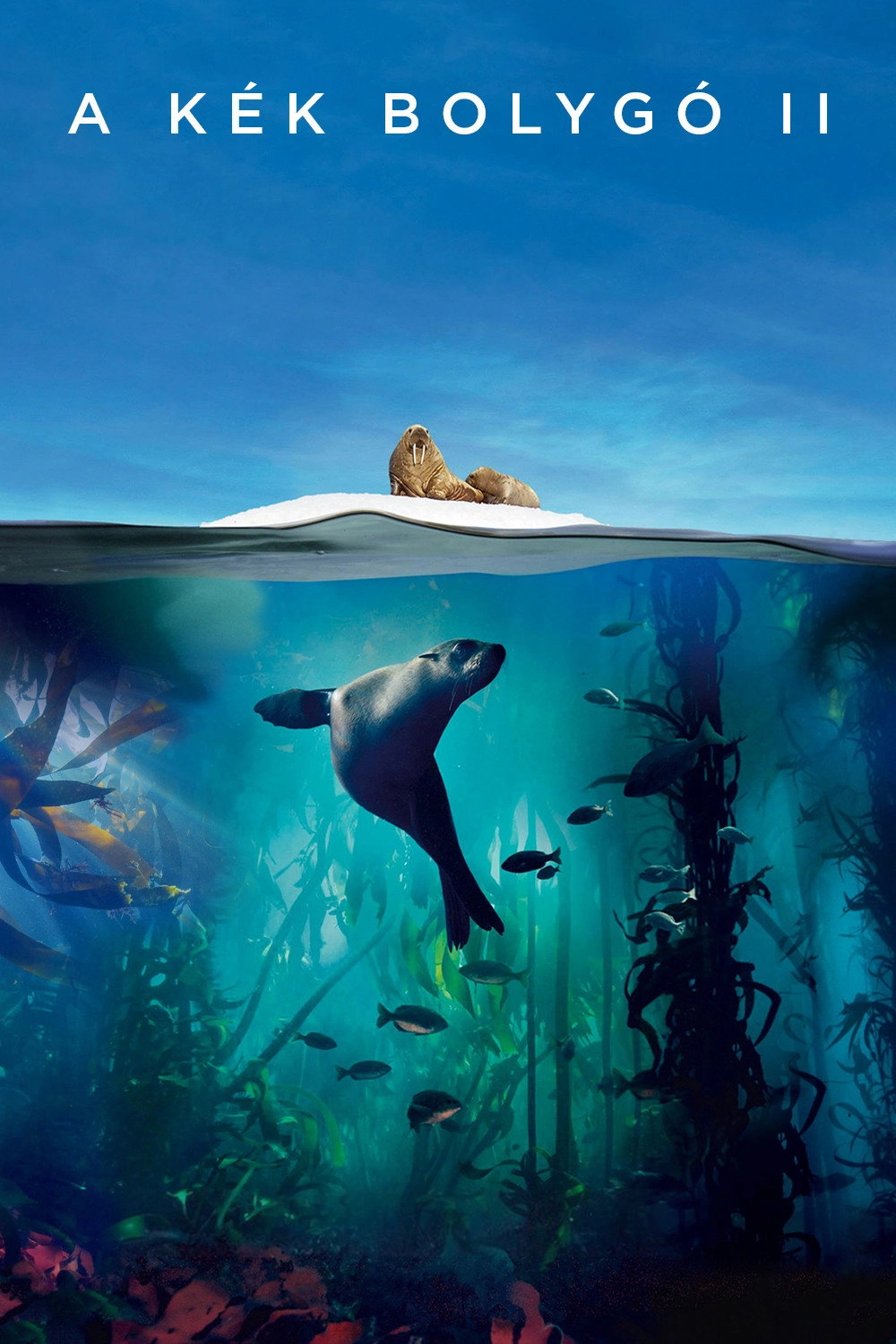 Blue Planet II