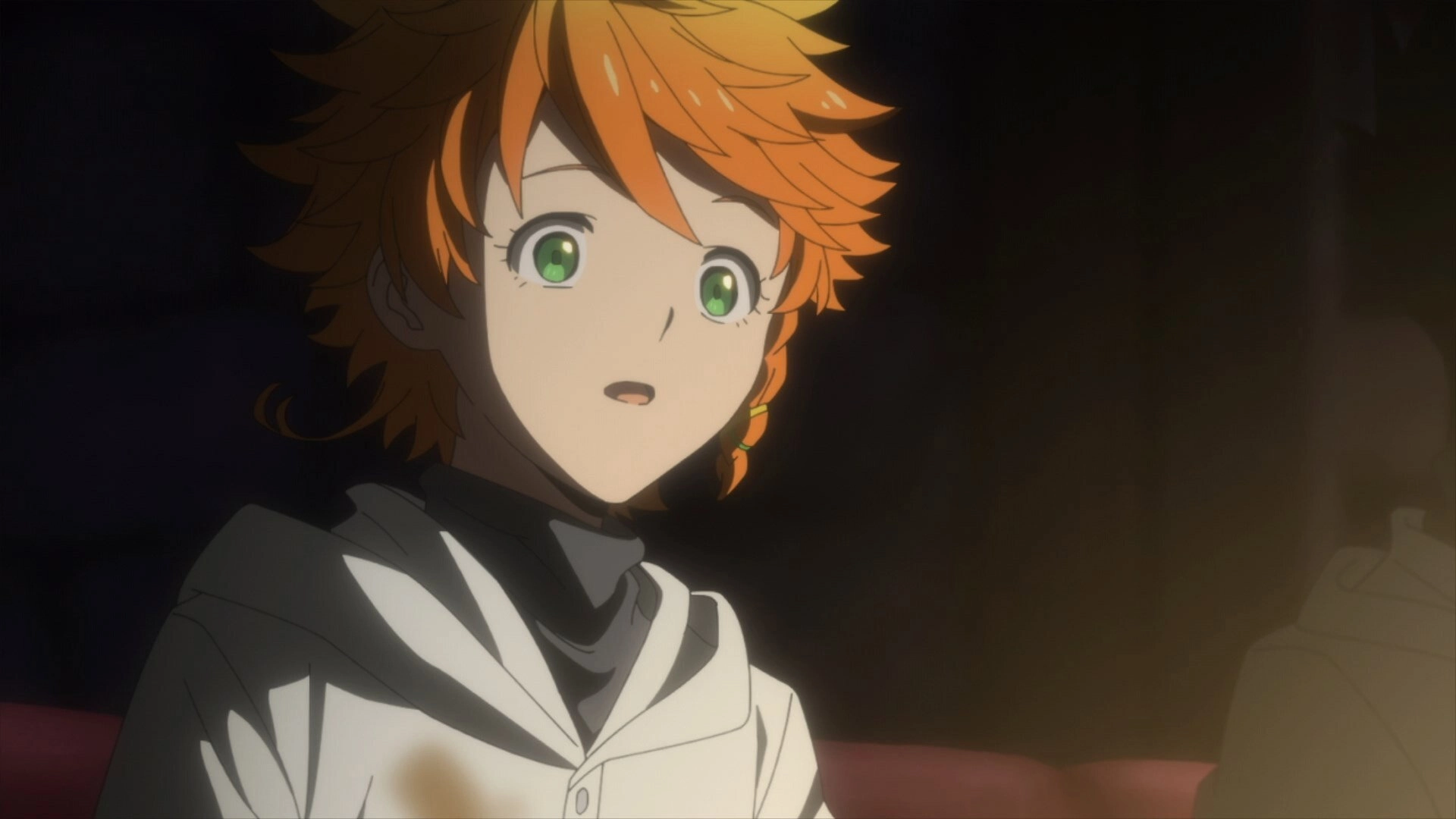 The Promised Neverland