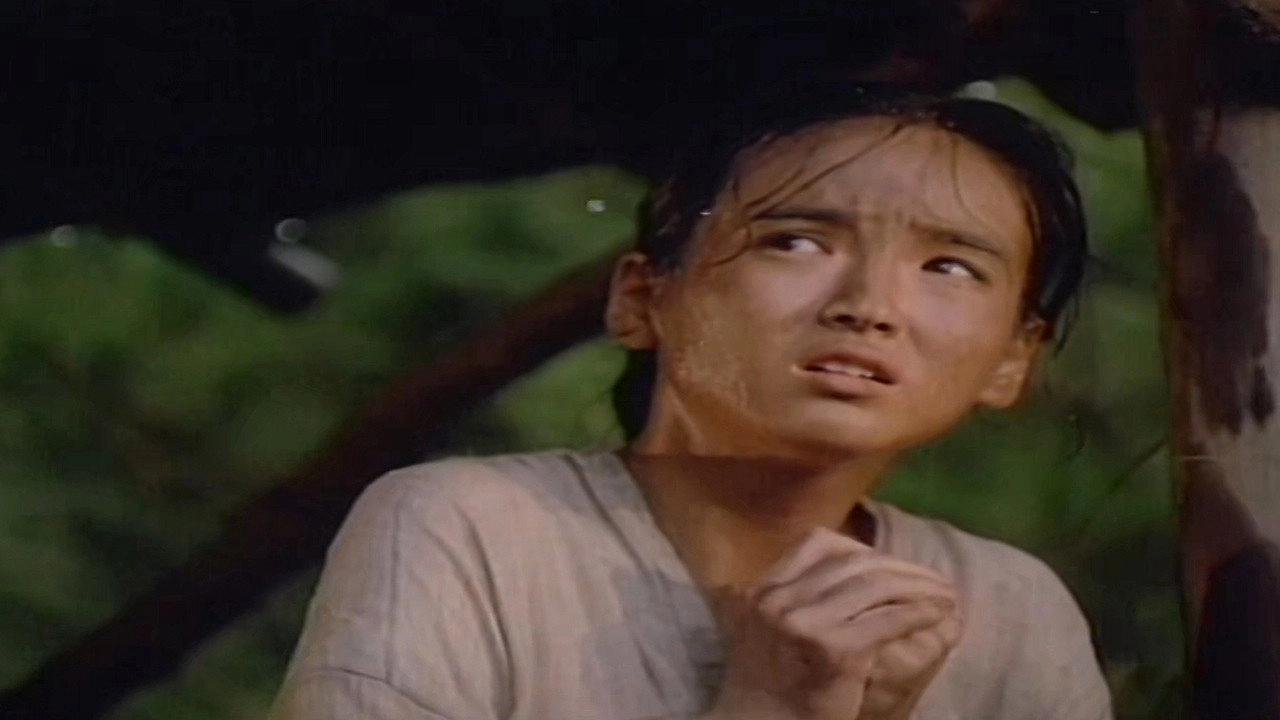 The Blazing Sun