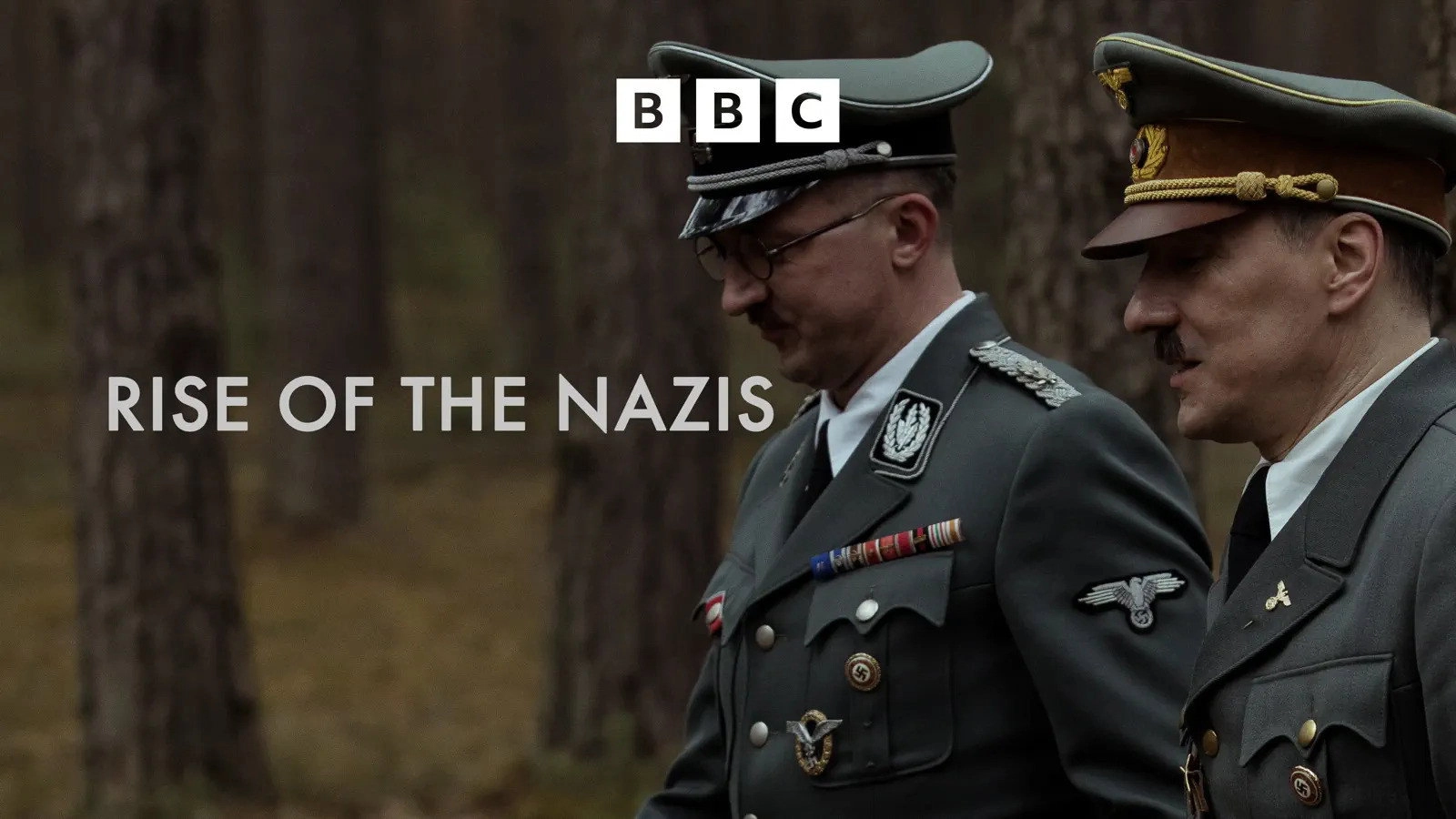 Rise of the Nazis
