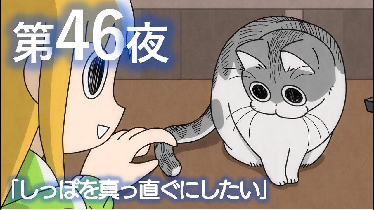 Nights with a Cat
