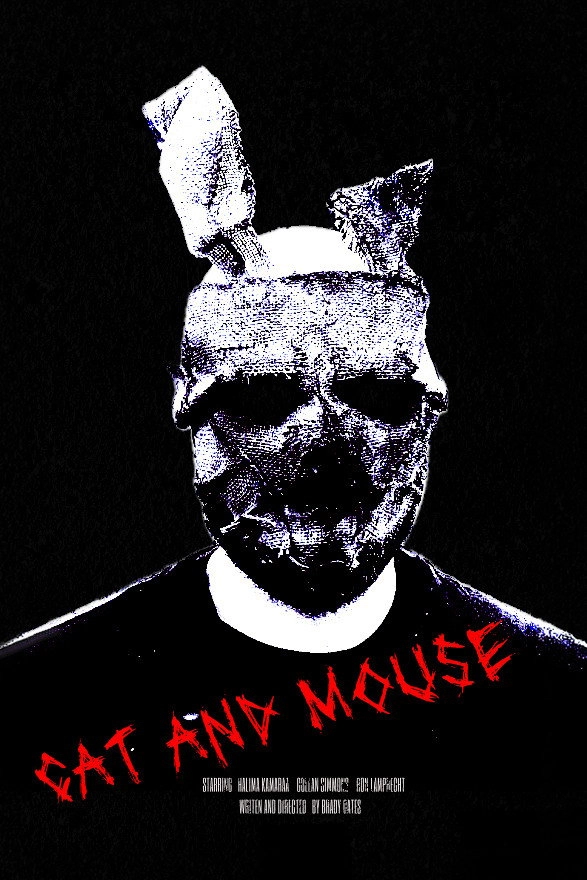 Cat and Mouse
