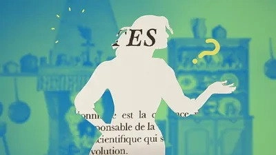 Cherchez la femme !