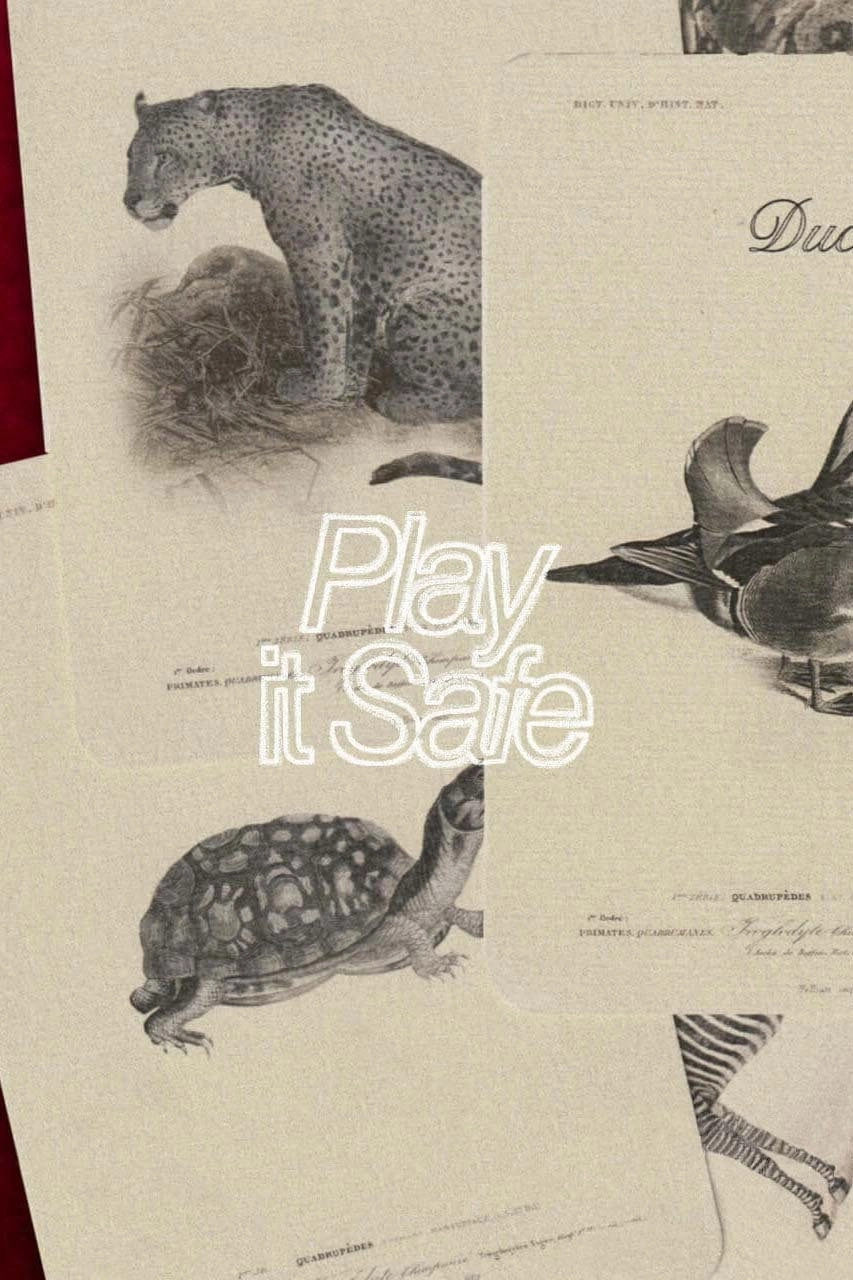 Play It Safe