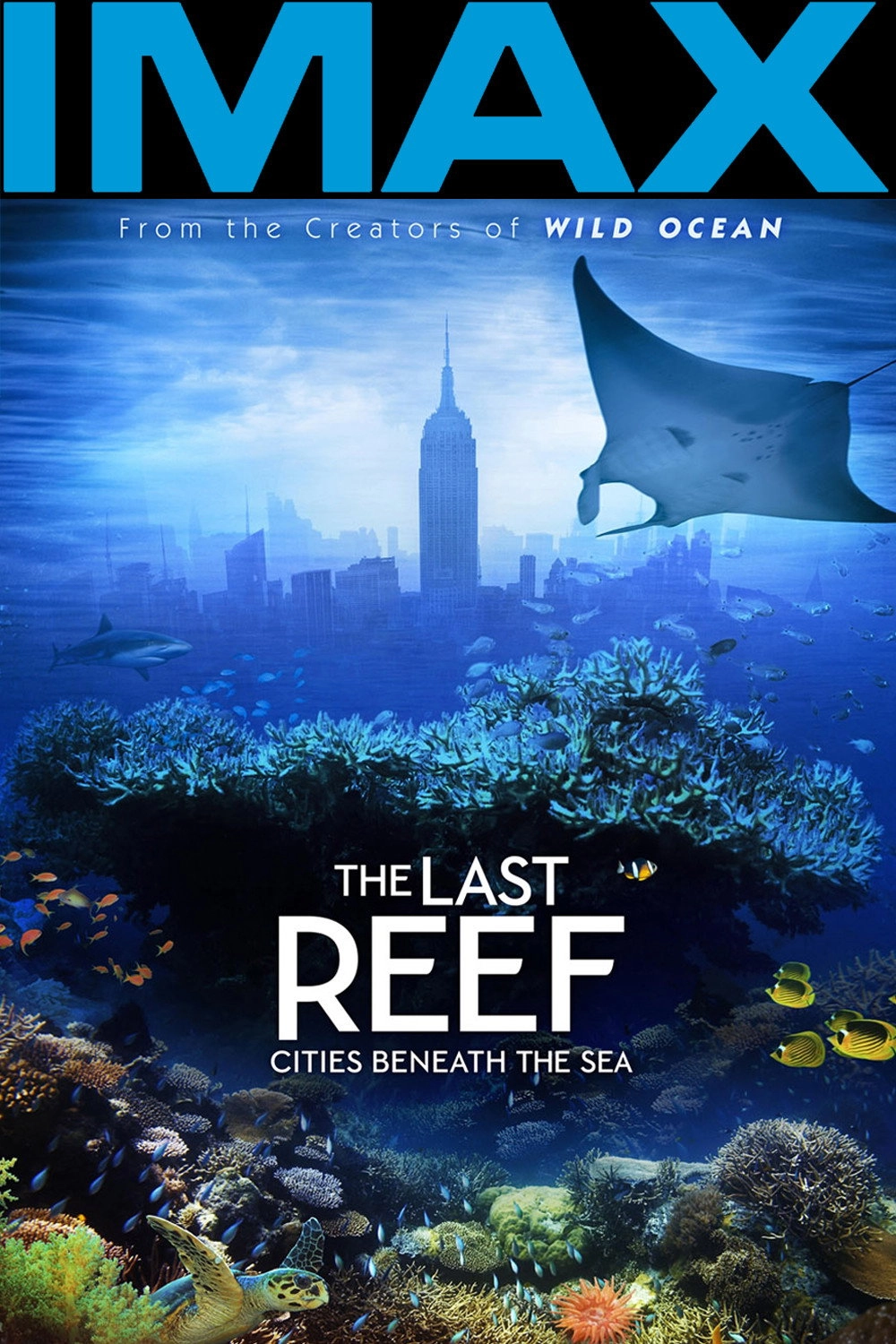 The Last Reef: Cities Beneath the Sea