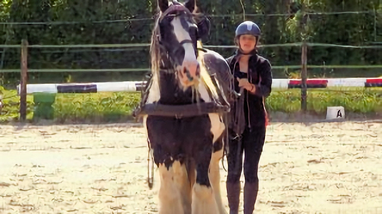 Au galop ! une saison à cheval