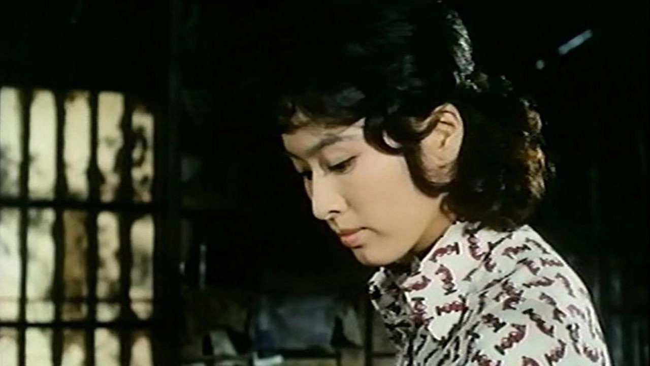 Convenience Store Kyodai