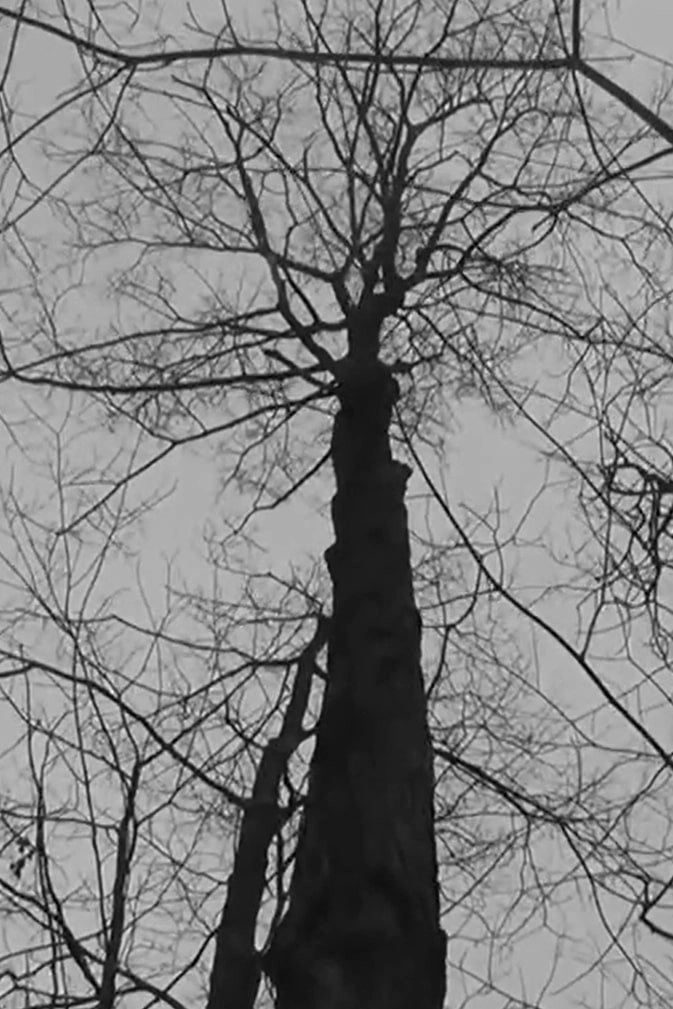 Guido Baselgia – The Dark Light