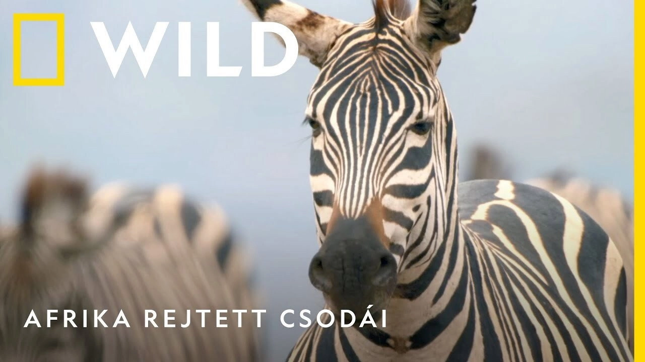 Africa's Hidden Wonders