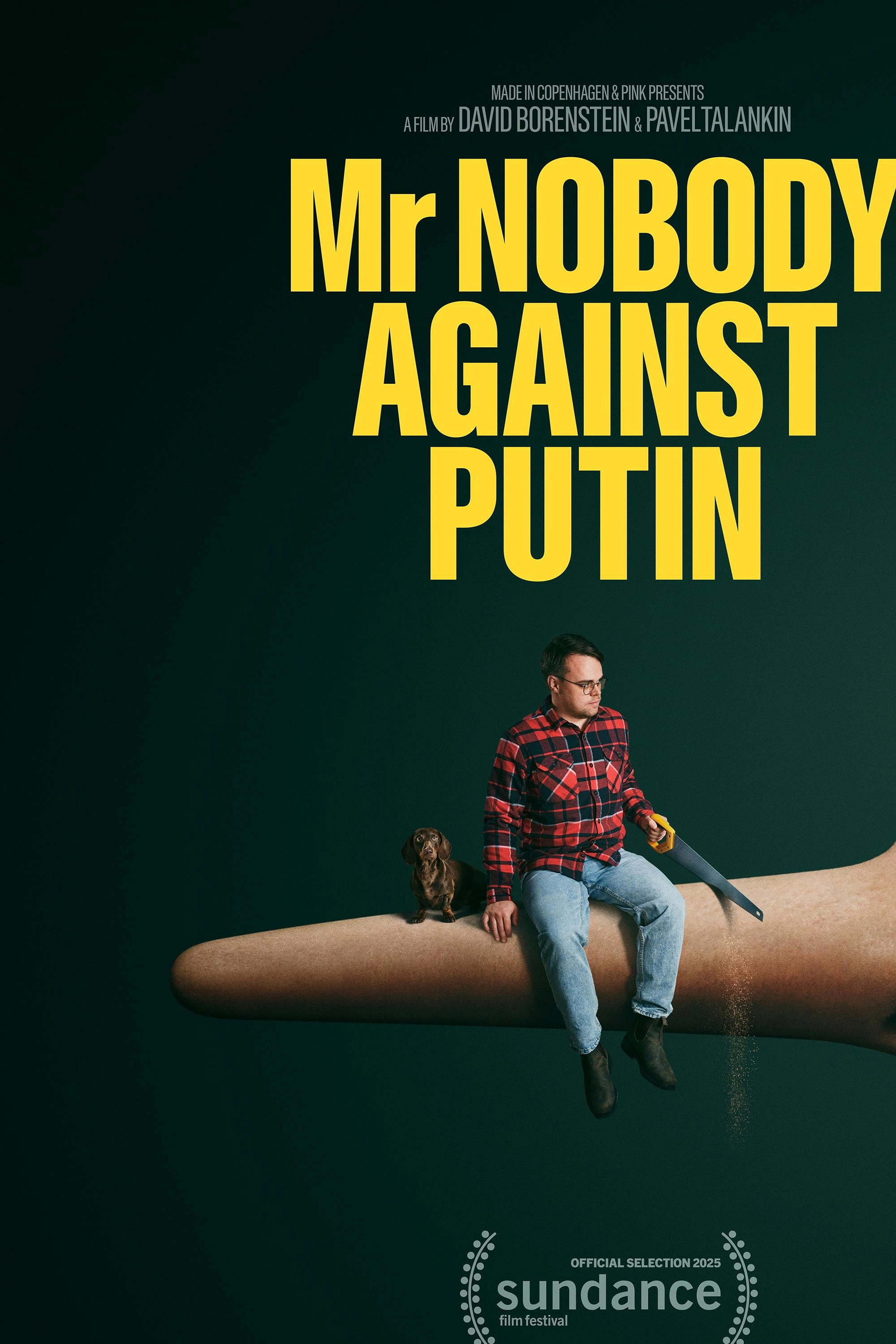 Mr. Nobody Against Putin